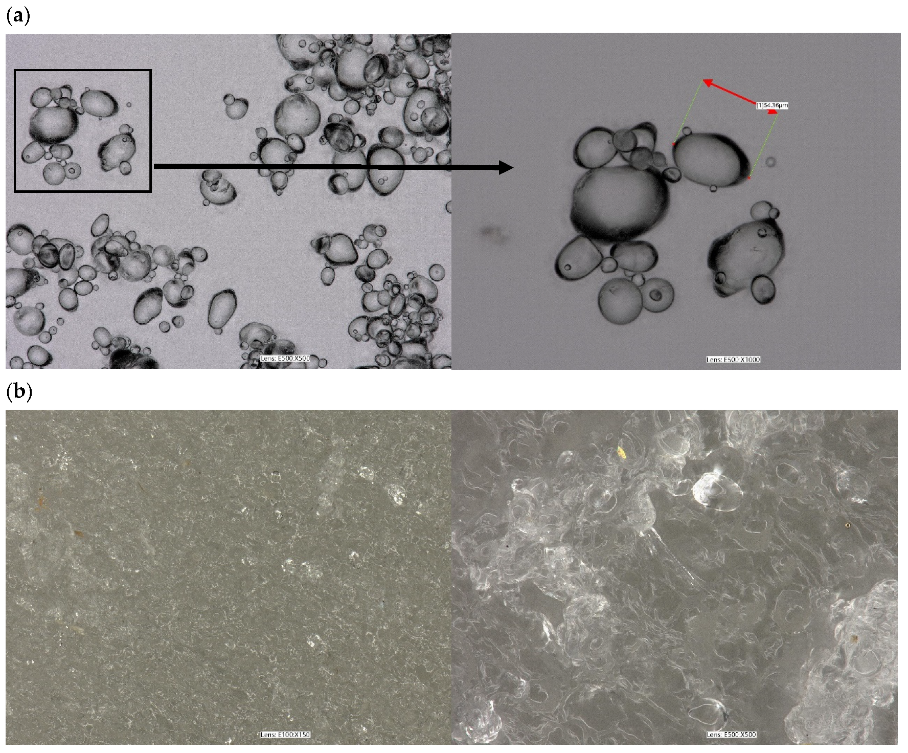 Polymers 16 01108 g007