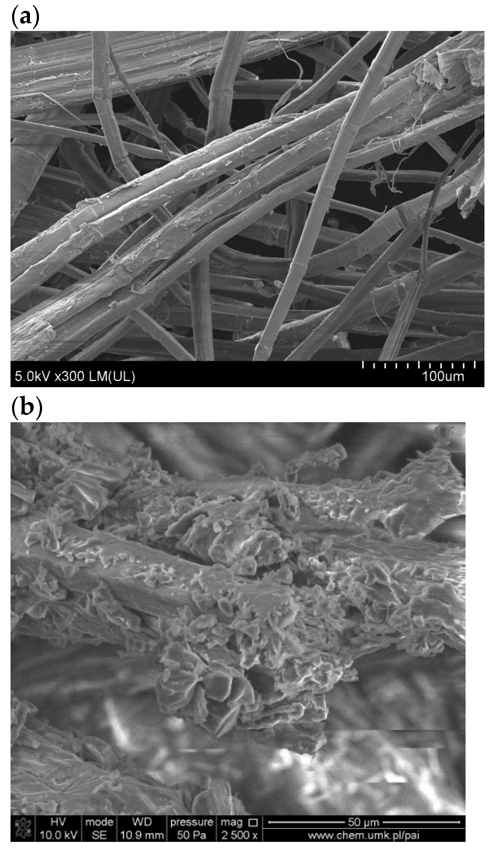Polymers 16 01108 g008