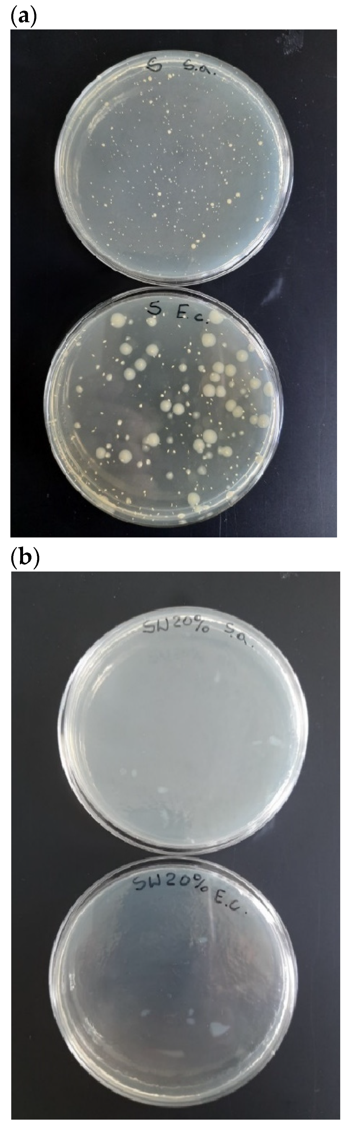 Polymers 16 01108 g010