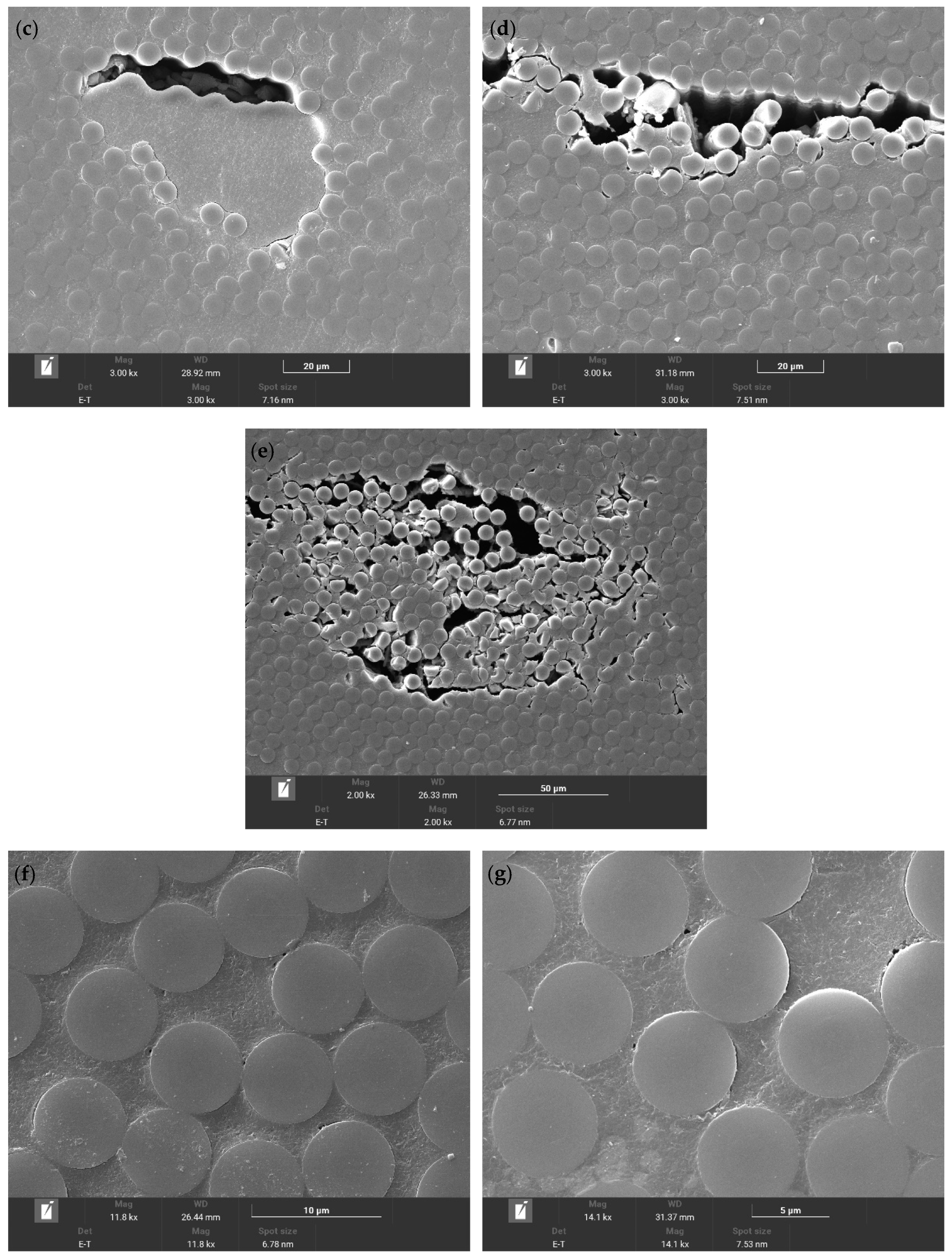 Polymers 16 01109 g009b Polymers 16 01109 g009b