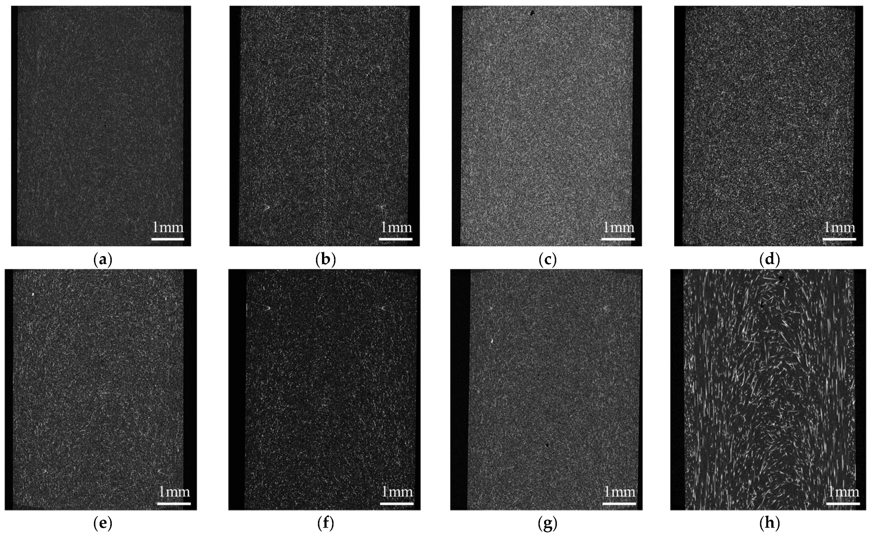 Polymers 16 01110 g014