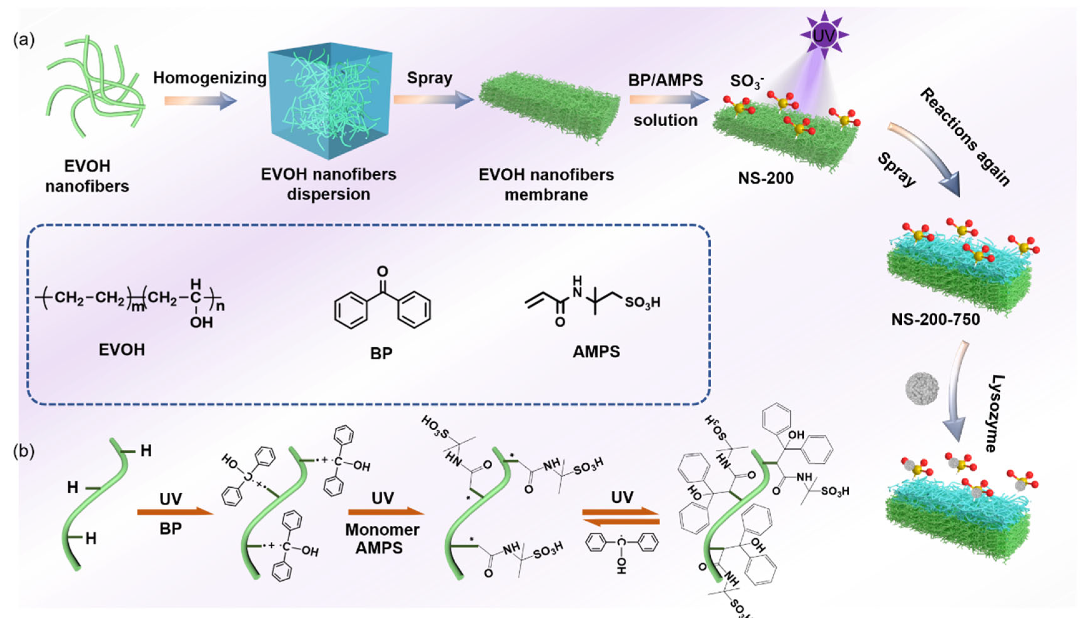 Polymers 16 01112 g001