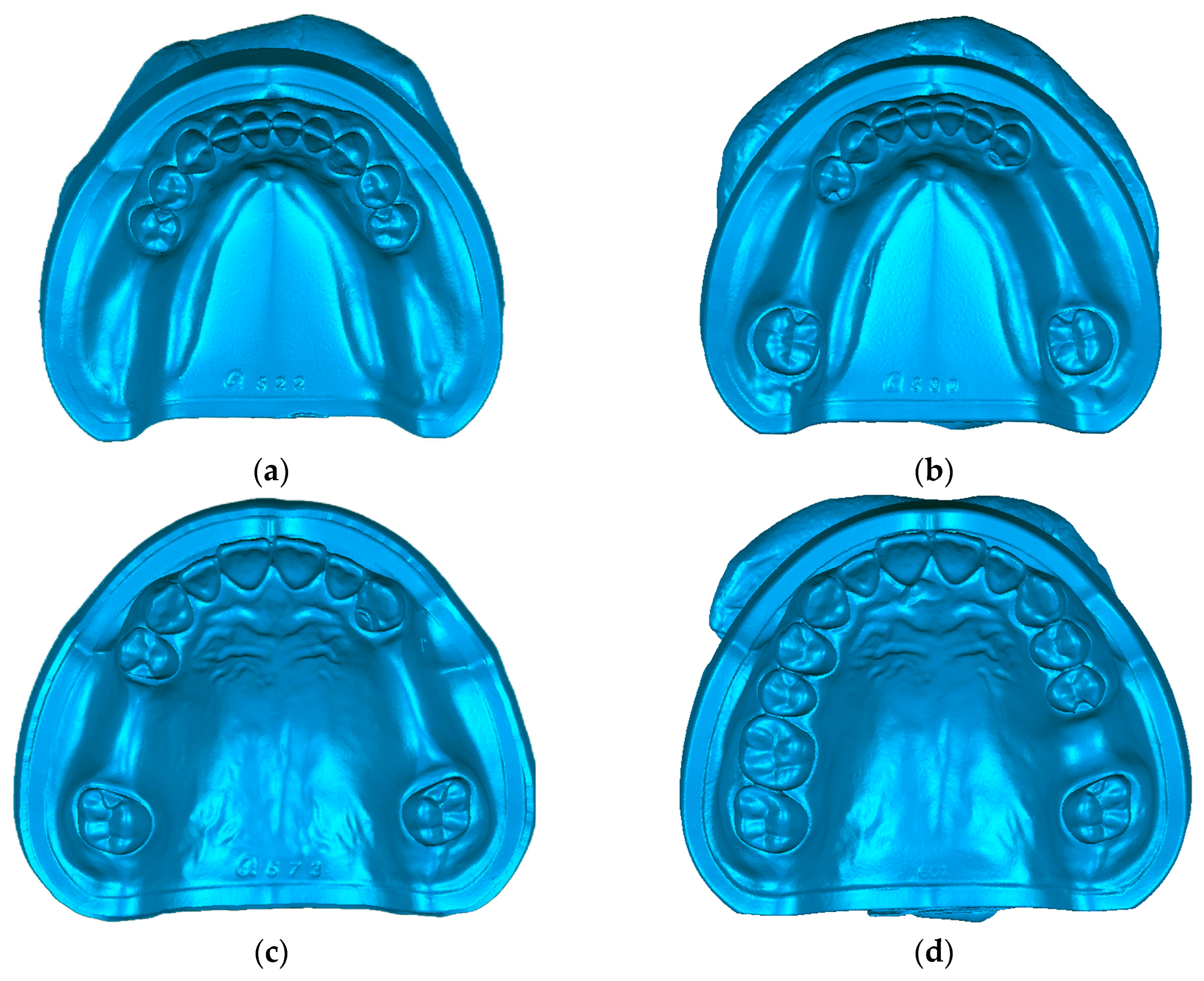 Polymers 16 01119 g001