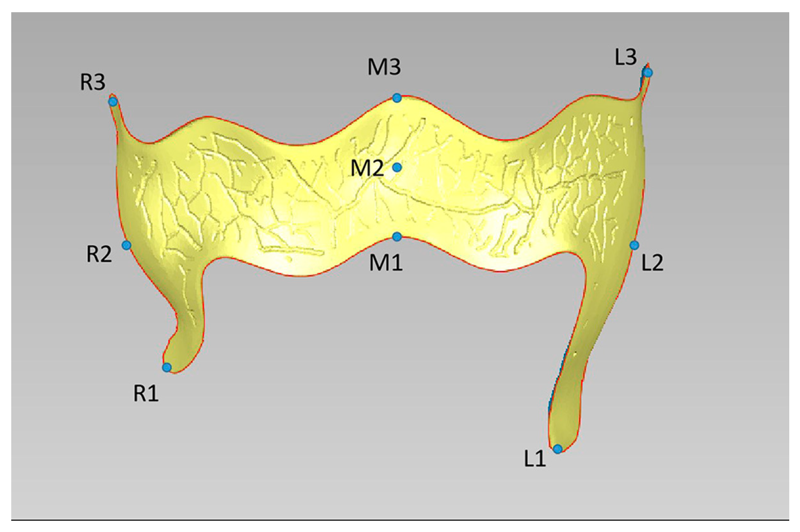 Polymers 16 01119 g003