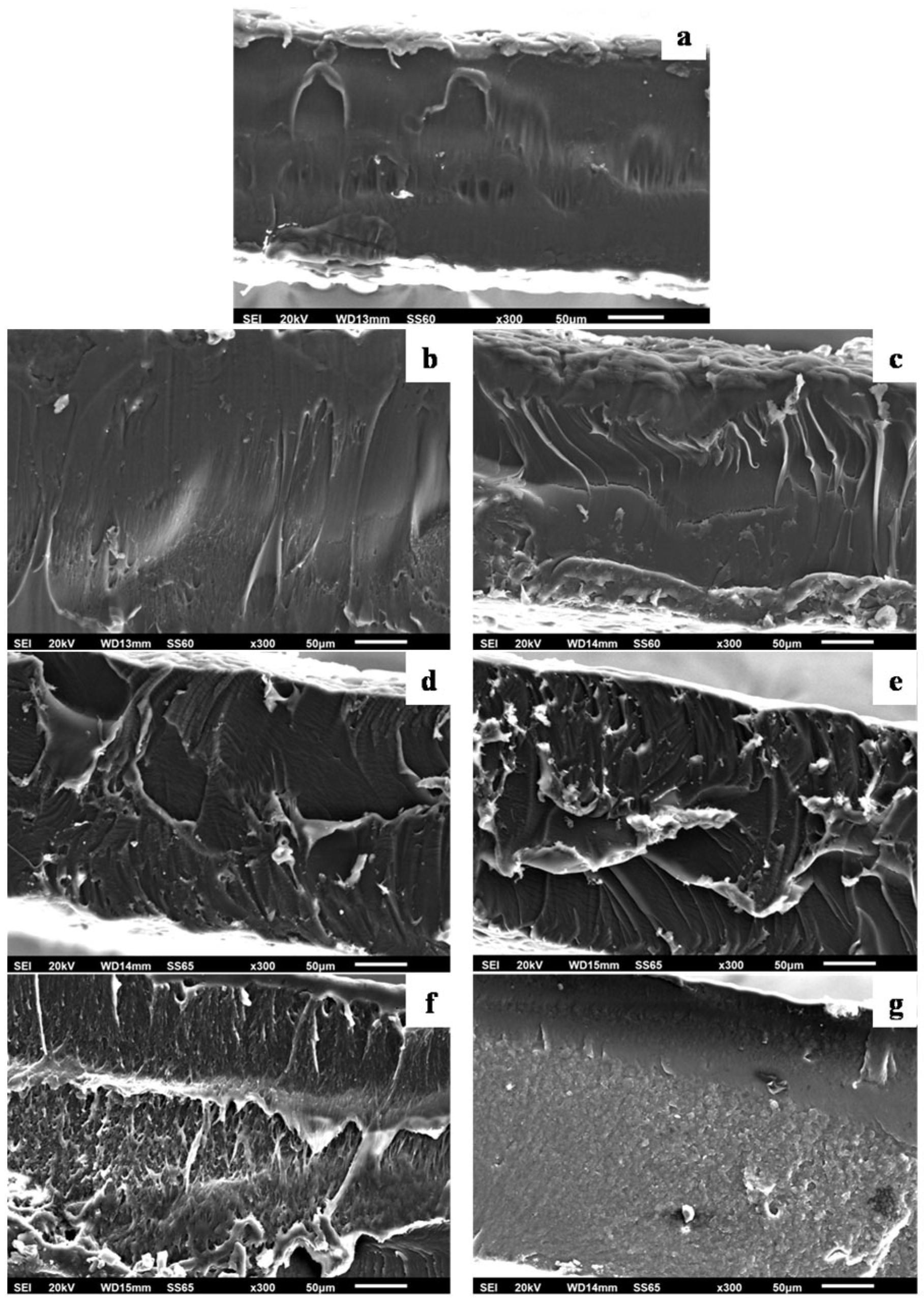 Polymers 16 01130 g003