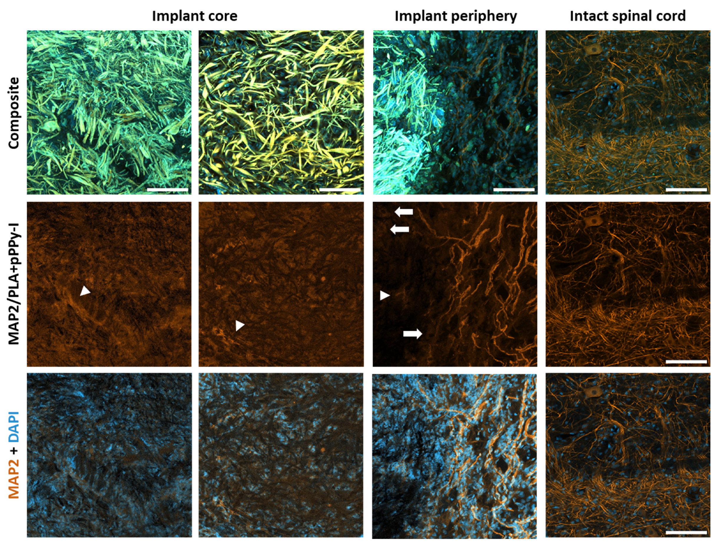 Polymers 16 01133 g011