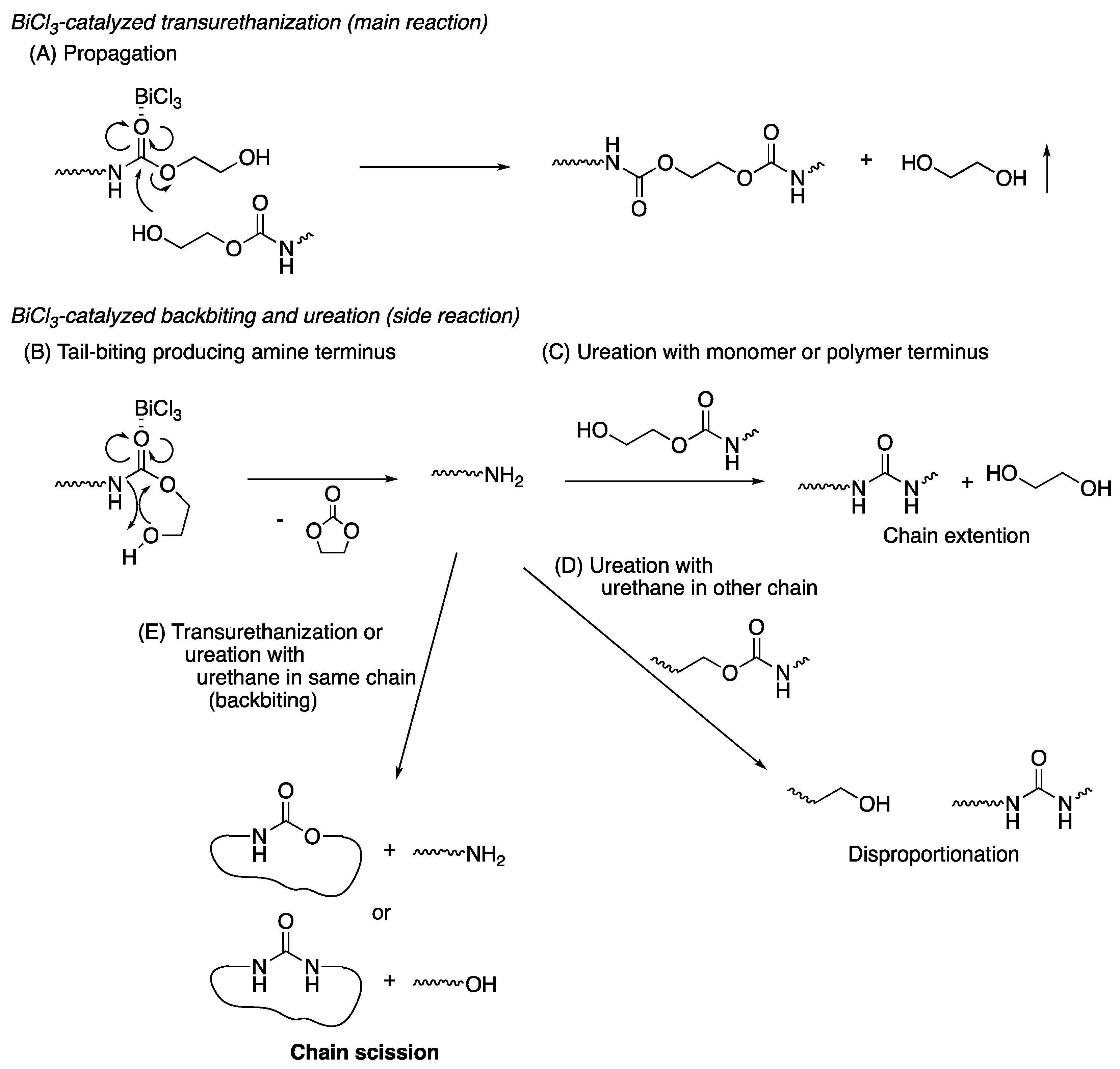 Polymers 16 01136 g007