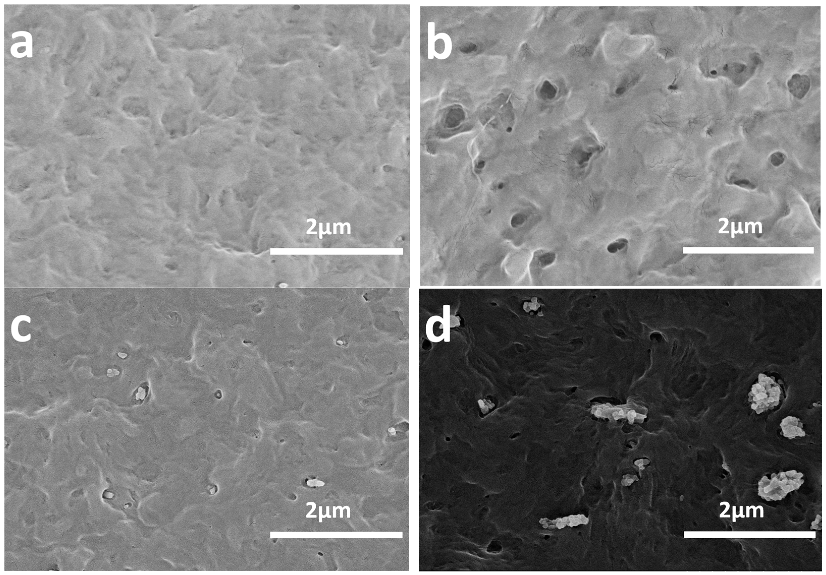 Polymers 16 01146 g001