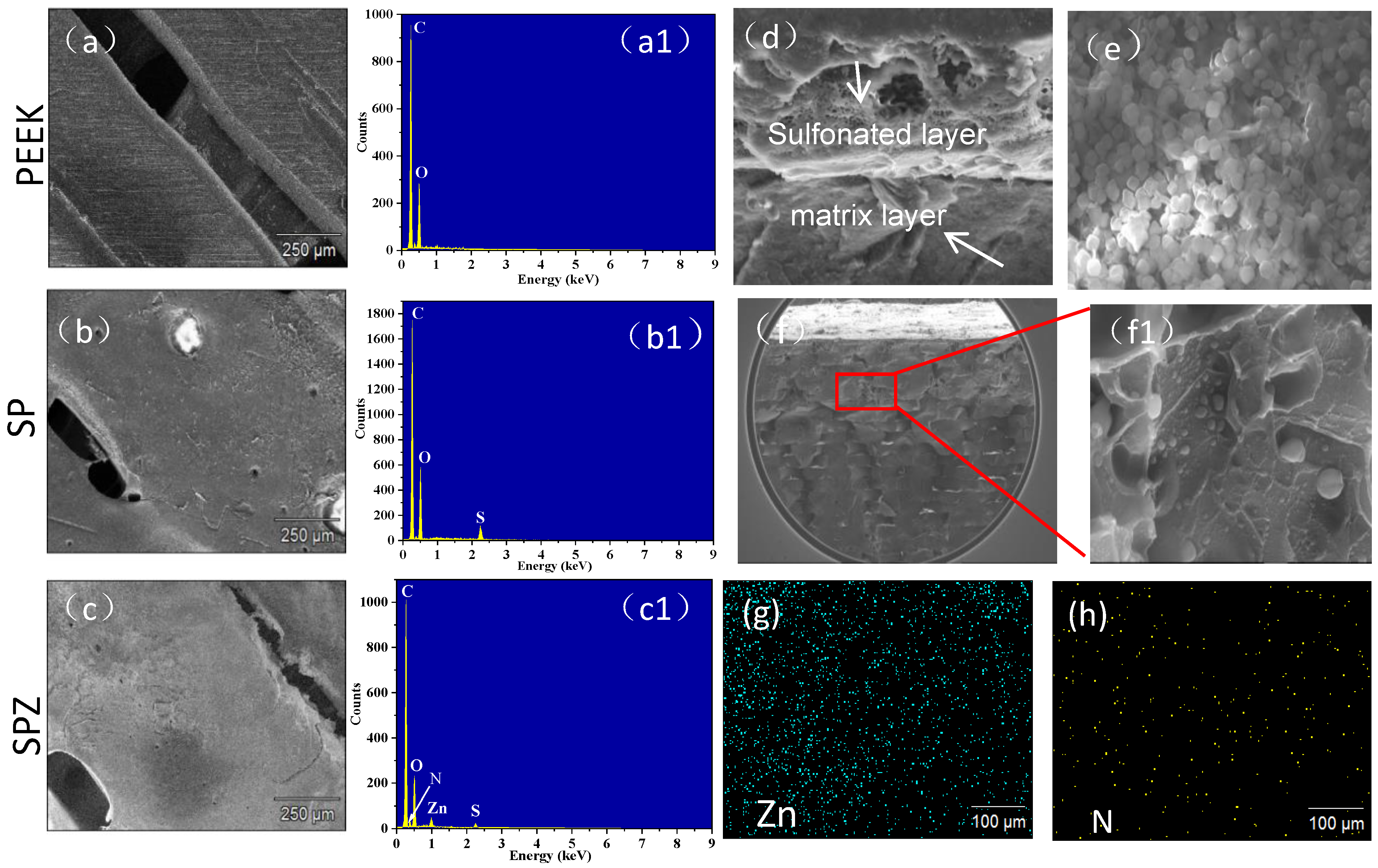 Polymers 16 01150 g003