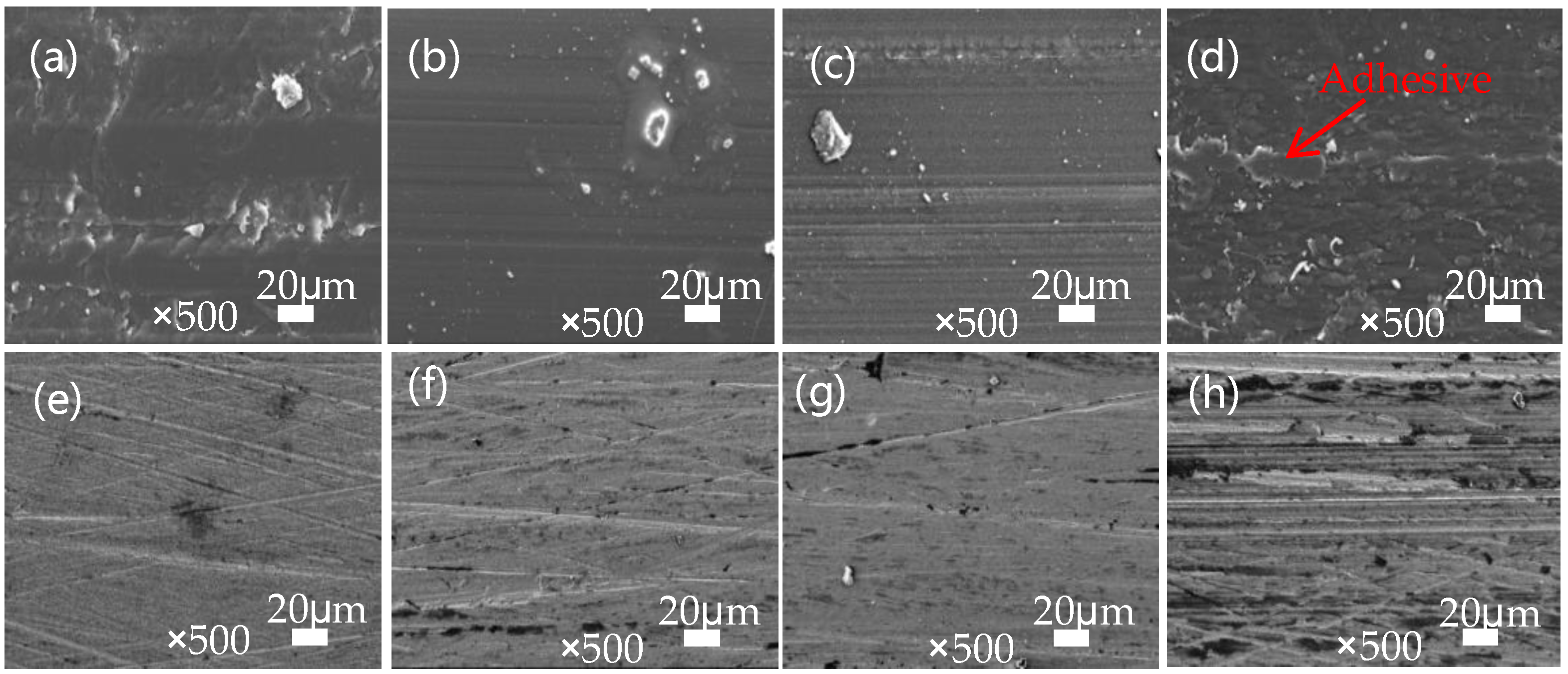 Polymers 16 01150 g012