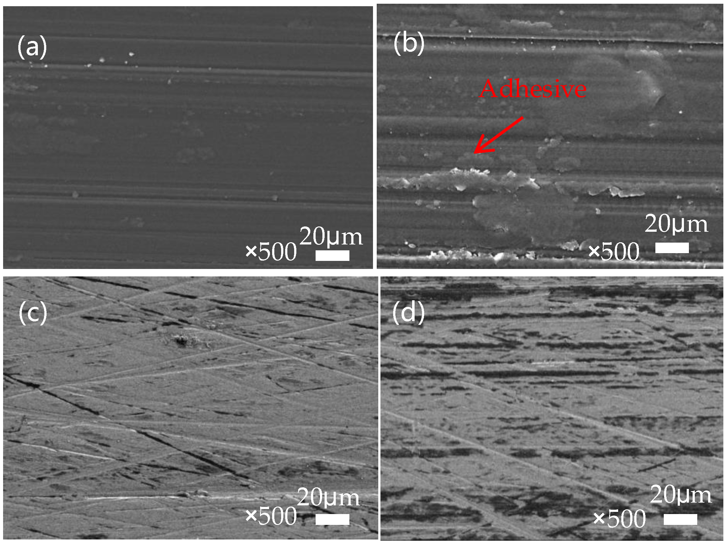 Polymers 16 01150 g013