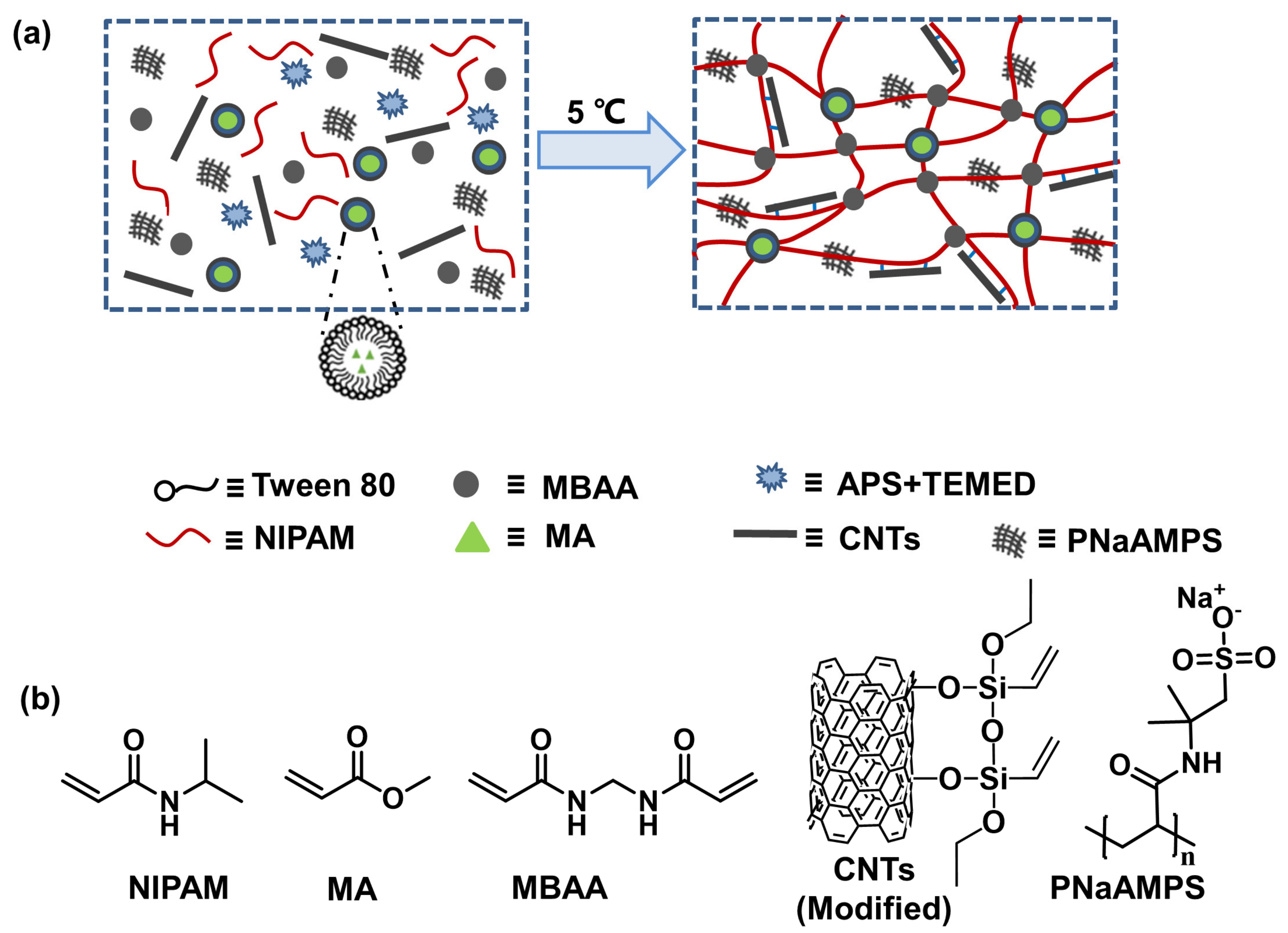 Polymers 16 01152 sch001