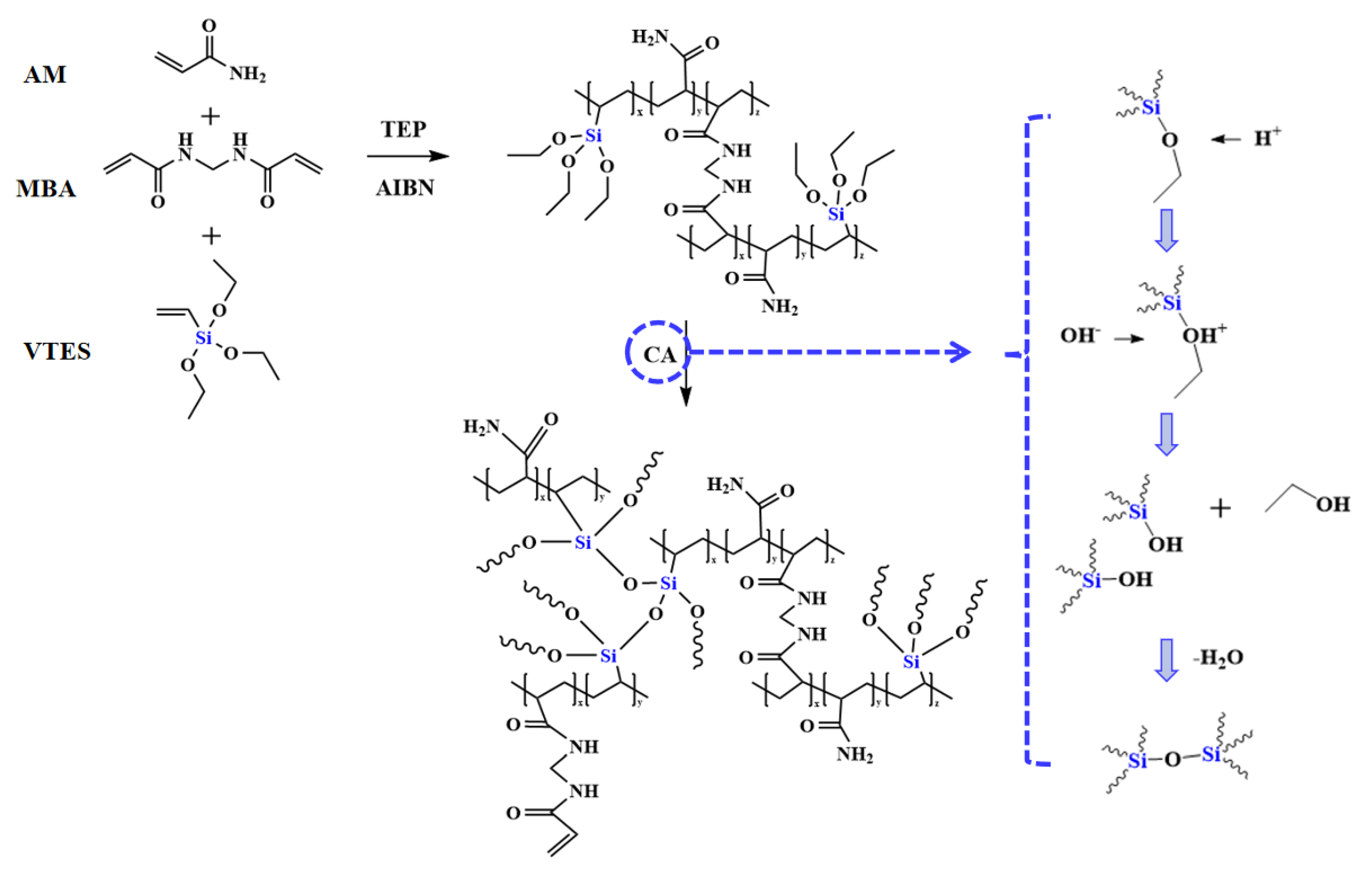 Polymers 16 01154 g001