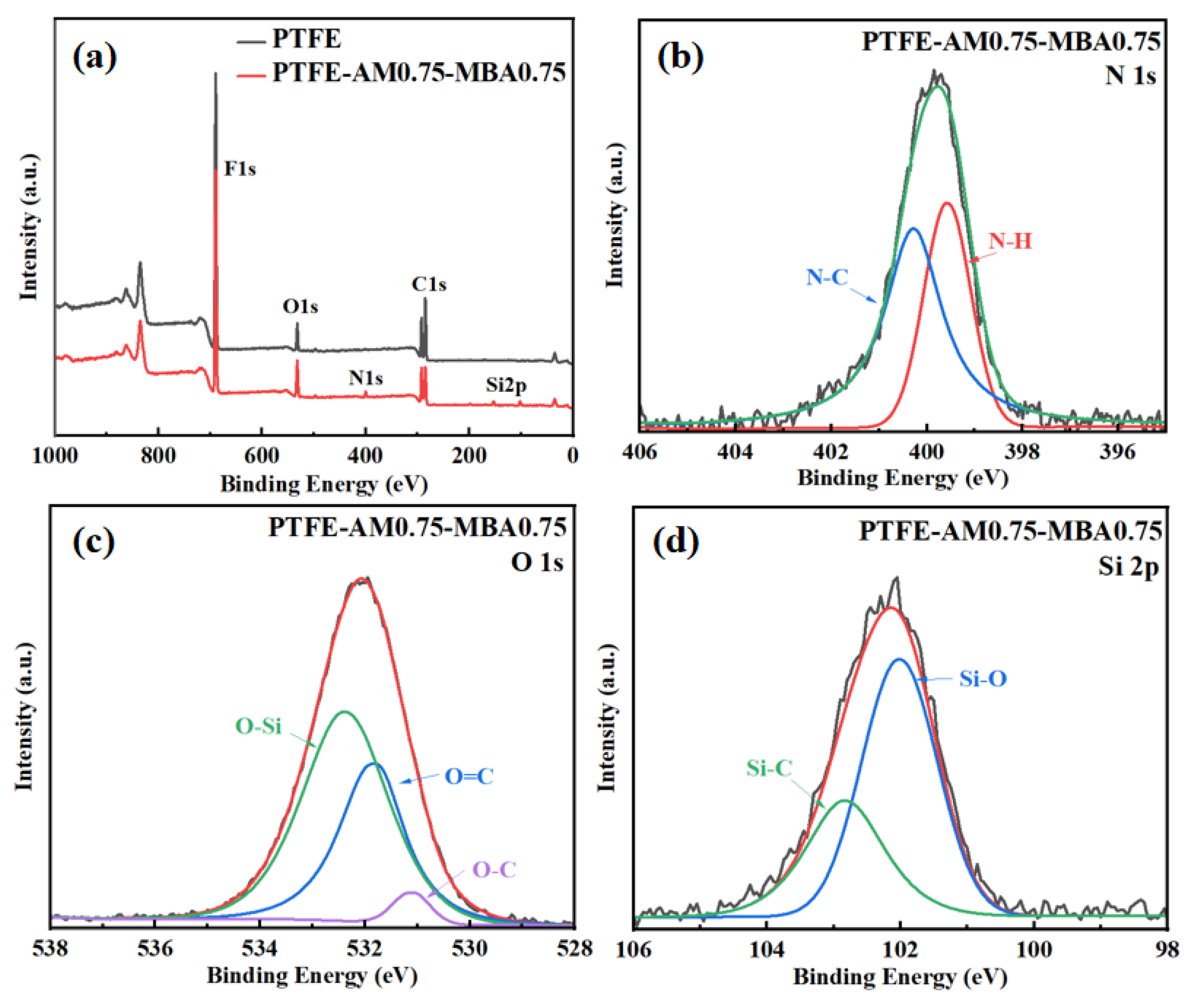 Polymers 16 01154 g003