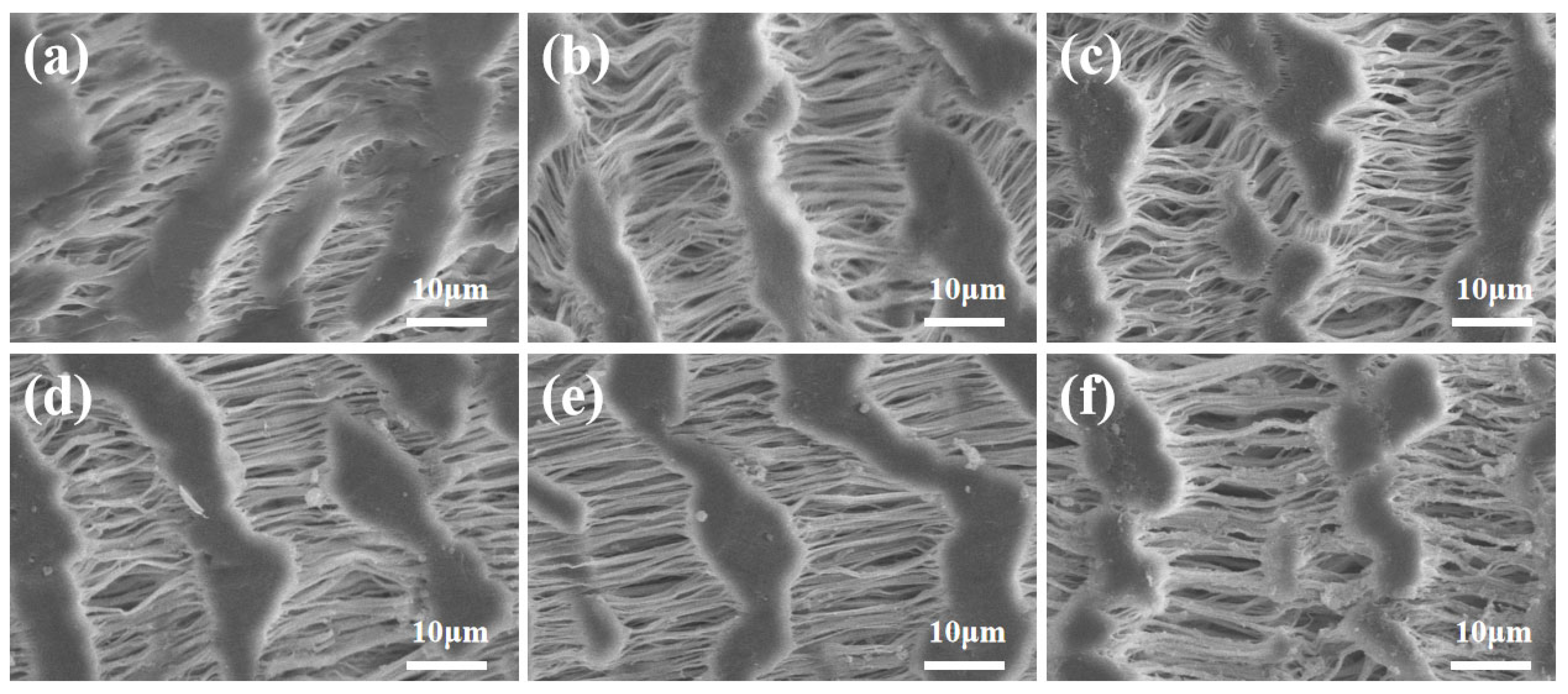 Polymers 16 01154 g004