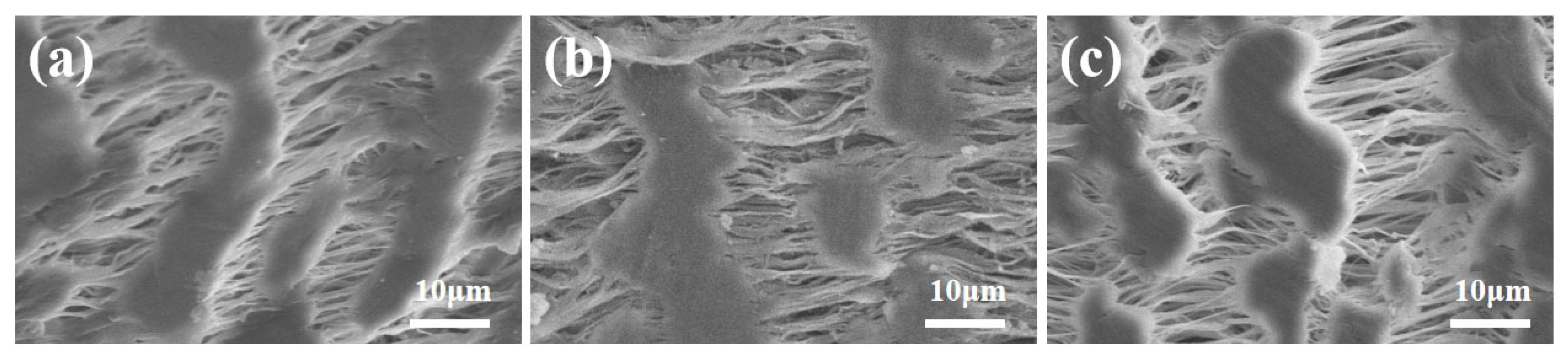 Polymers 16 01154 g011