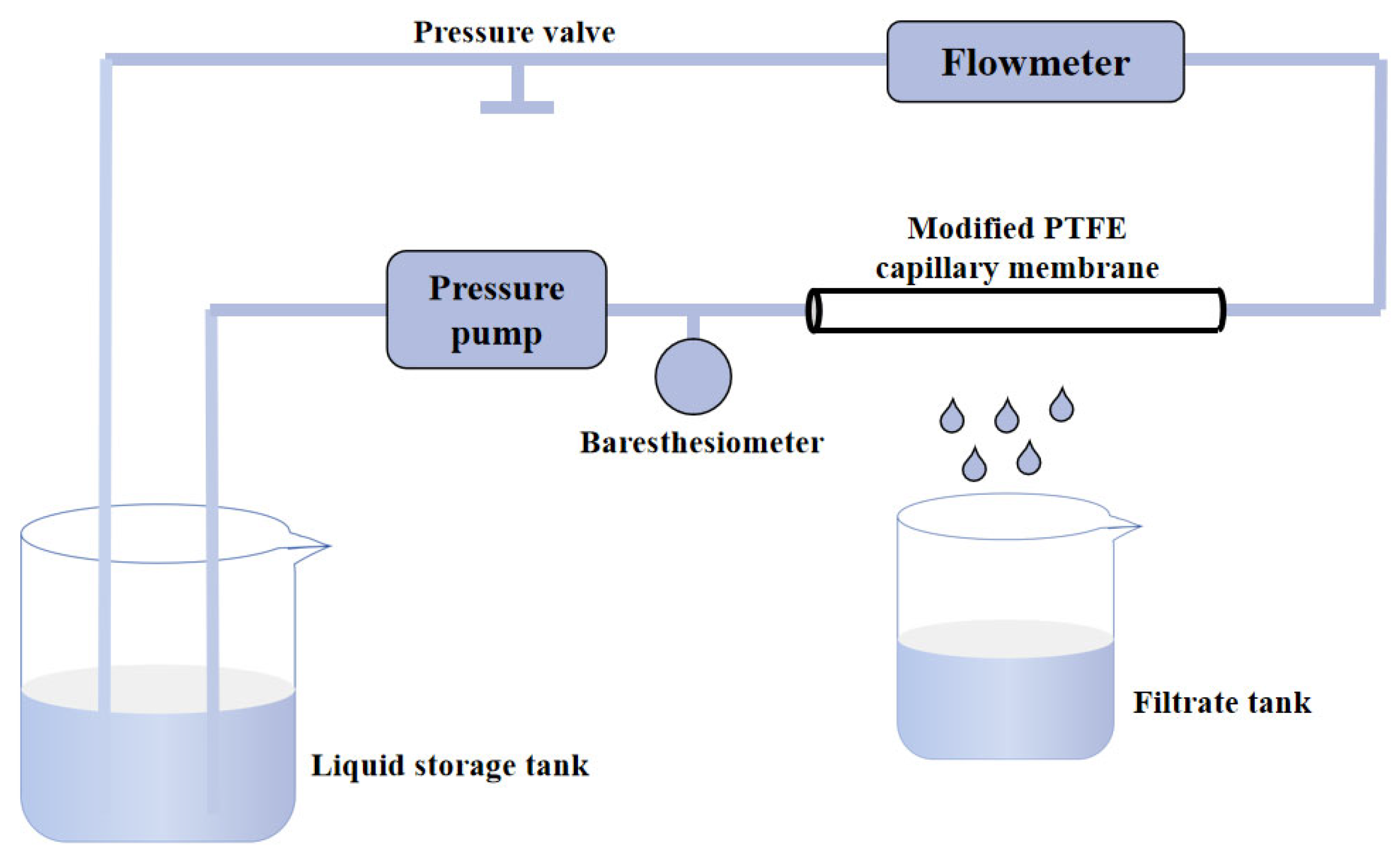 Polymers 16 01154 sch002