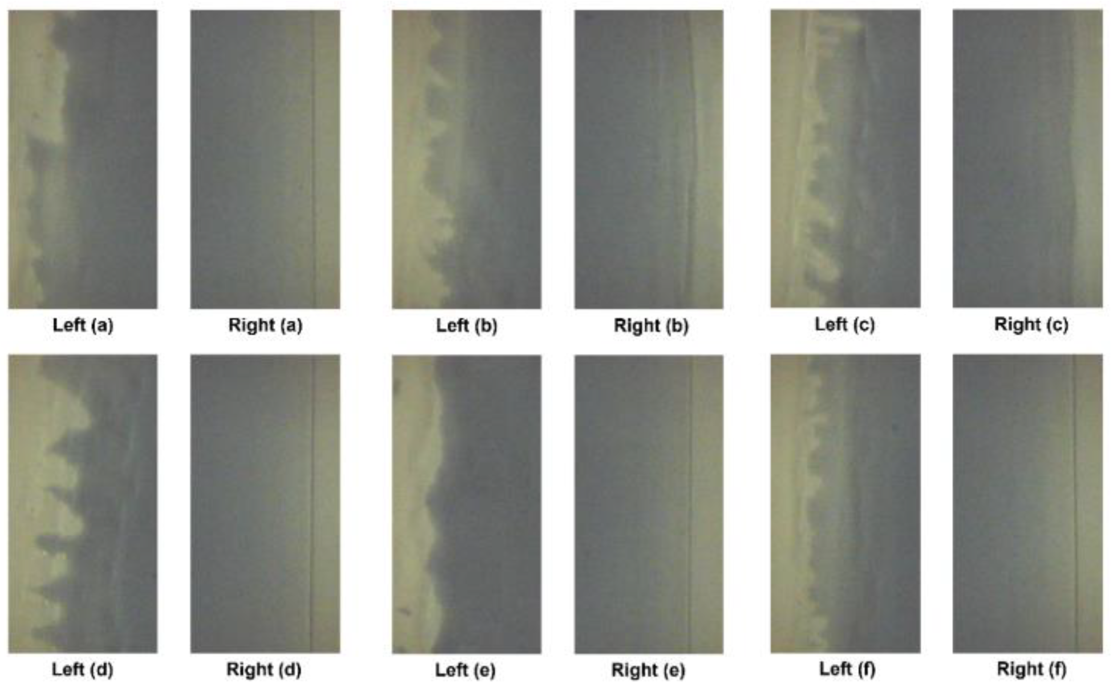 Polymers 16 01156 g010