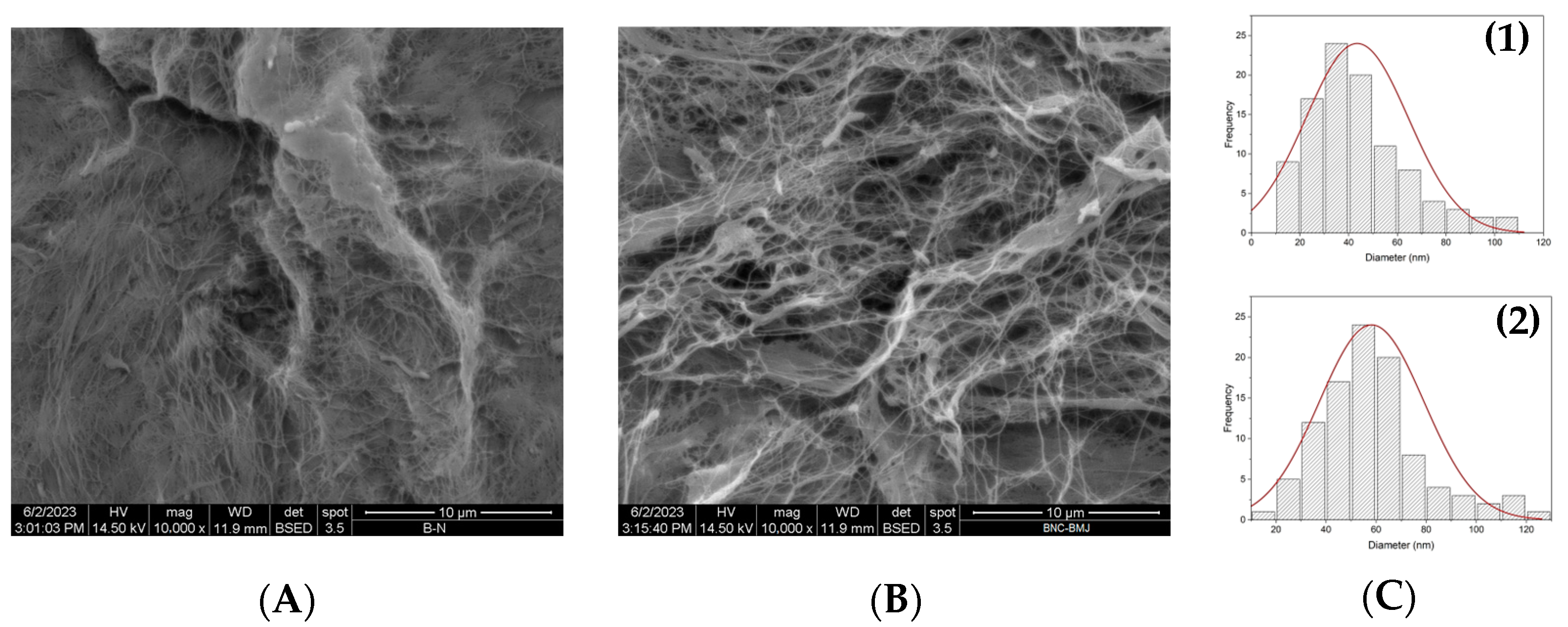 Polymers 16 01157 g004 Polymers 16 01157 g004