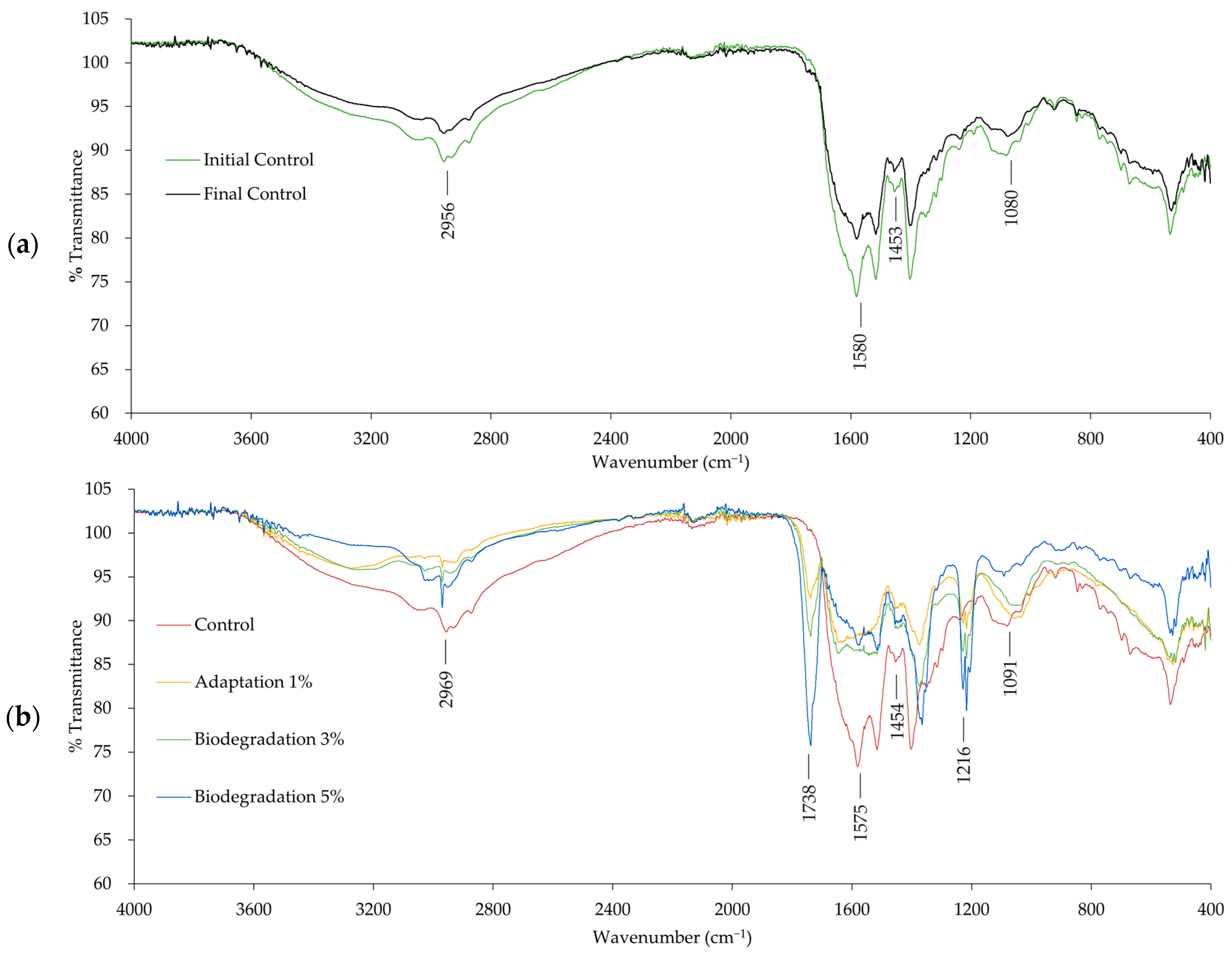 Polymers 16 01162 g005