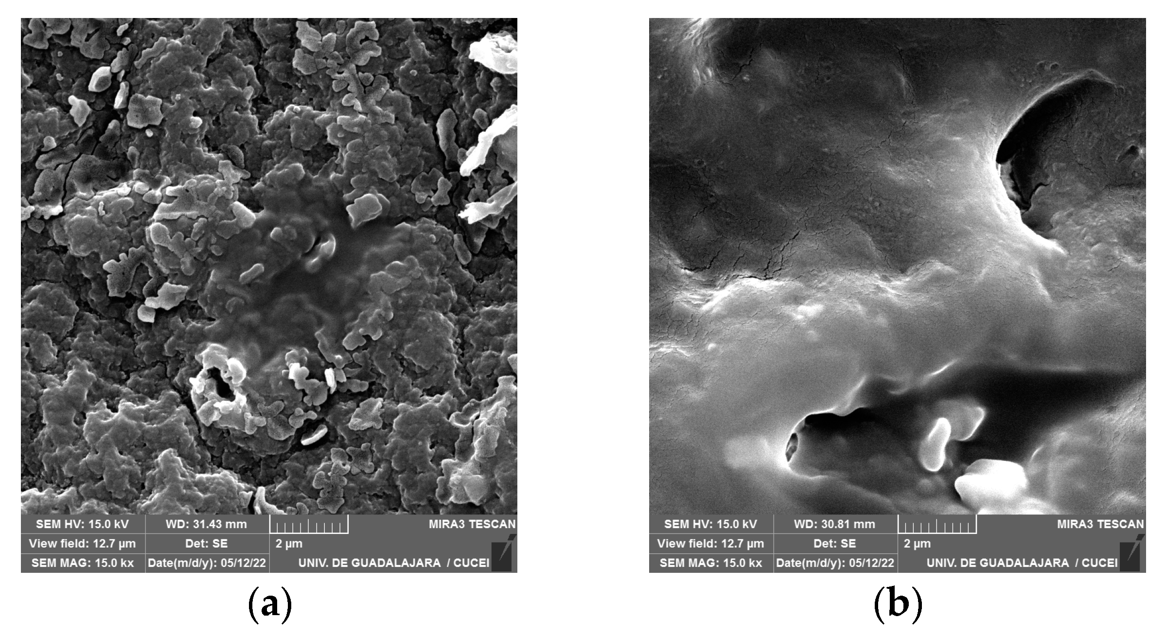 Polymers 16 01162 g008