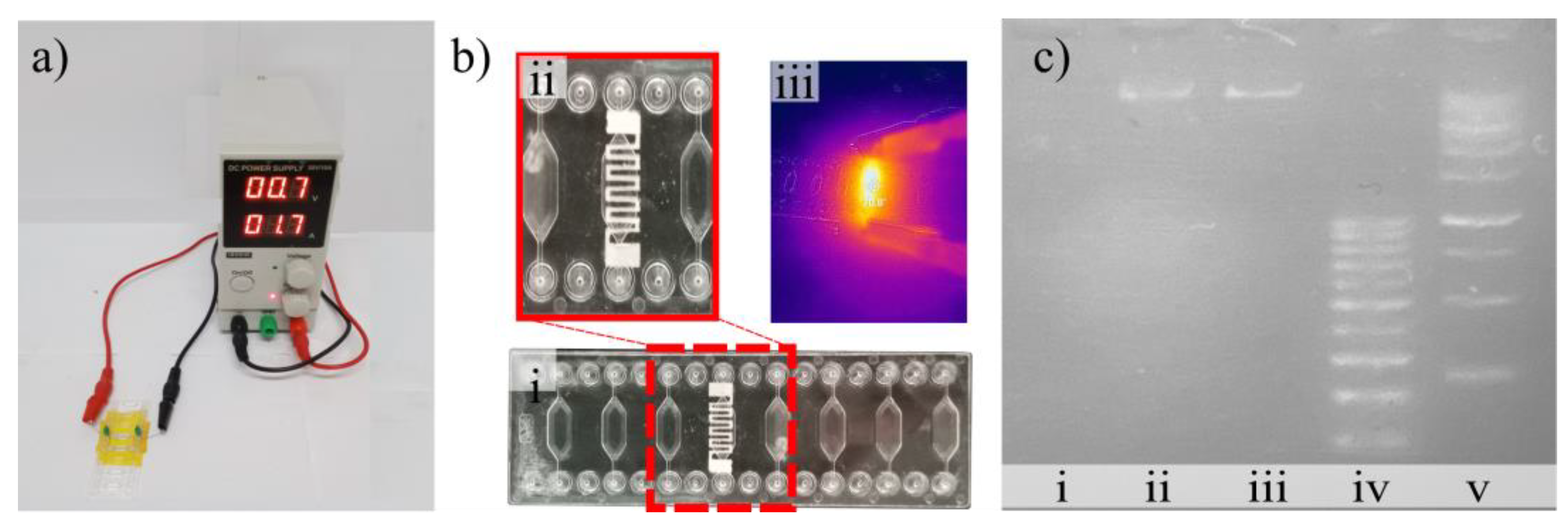 Polymers 16 01164 g008