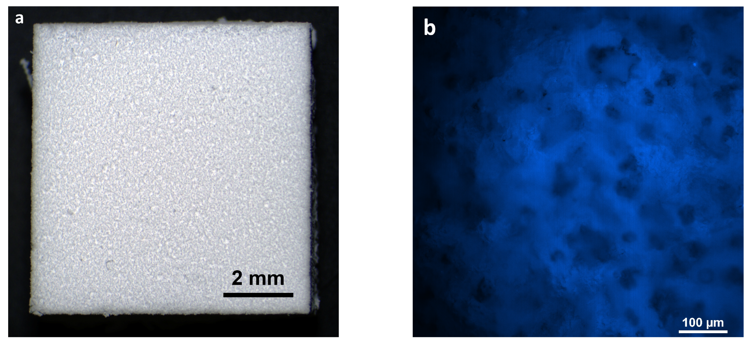 Polymers 16 01165 g001