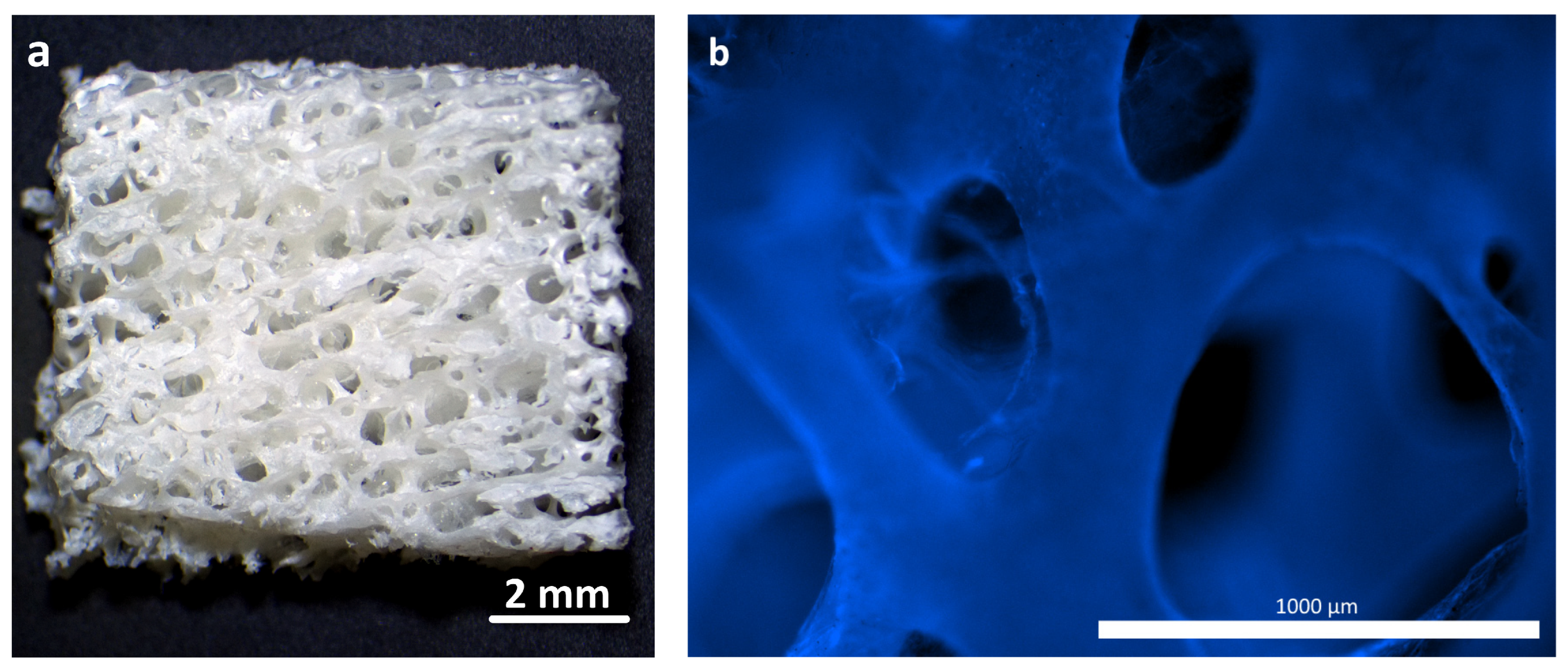 Polymers 16 01165 g002