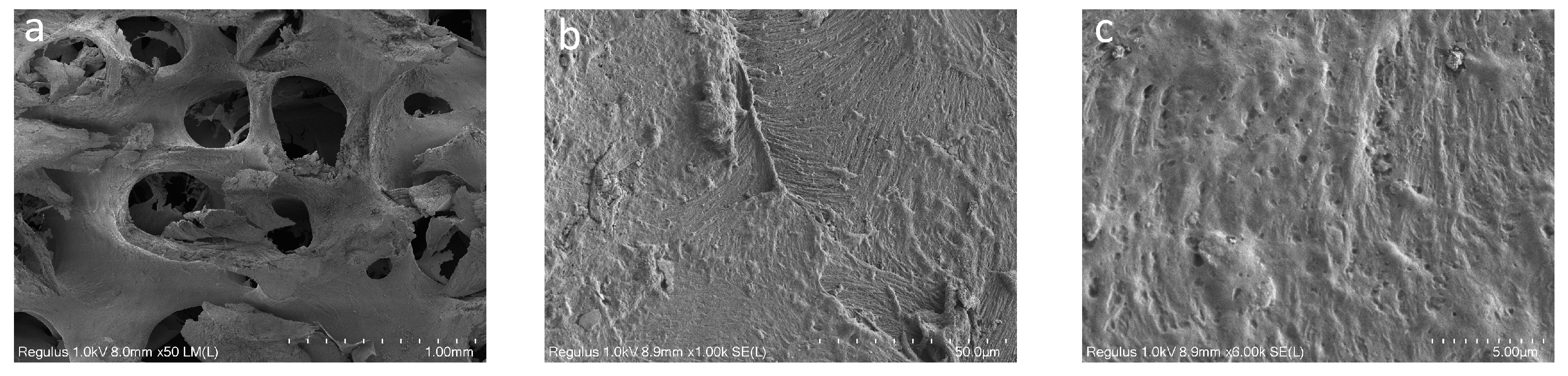 Polymers 16 01165 g004