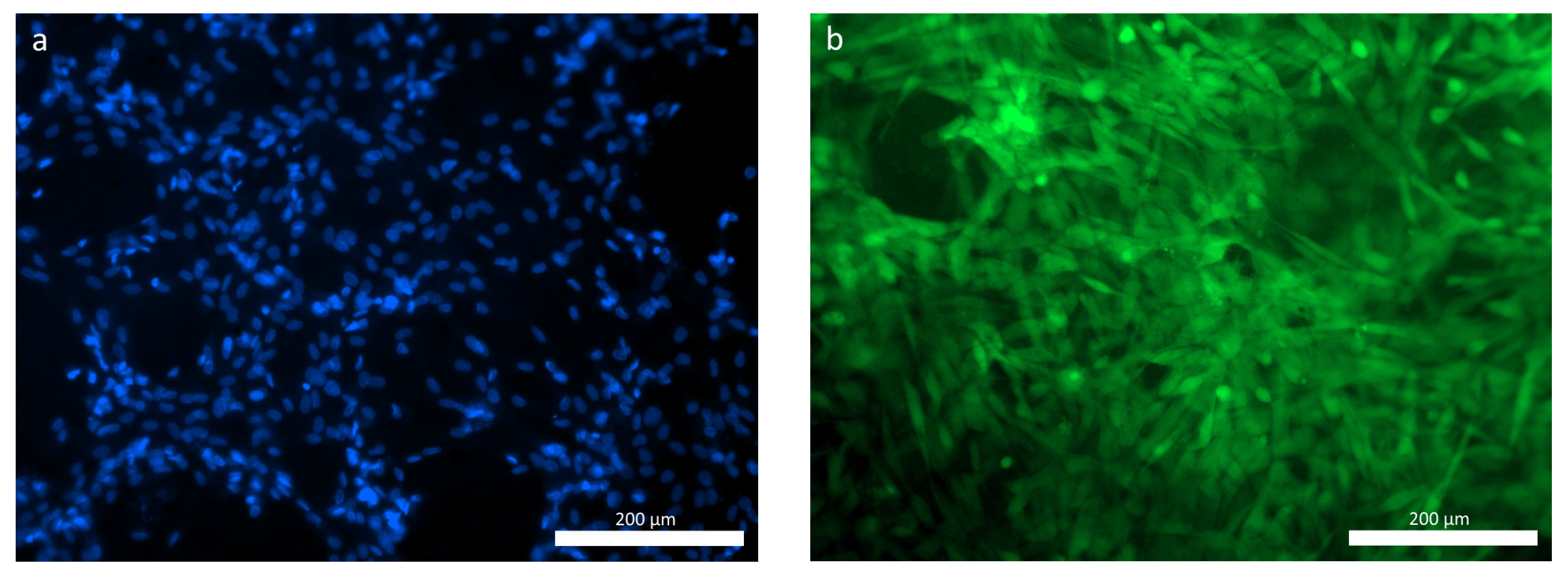 Polymers 16 01165 g006