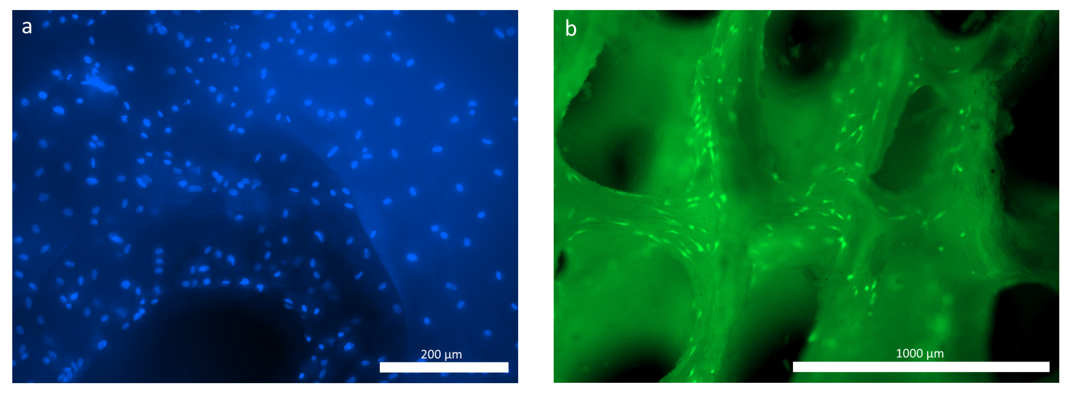 Polymers 16 01165 g007