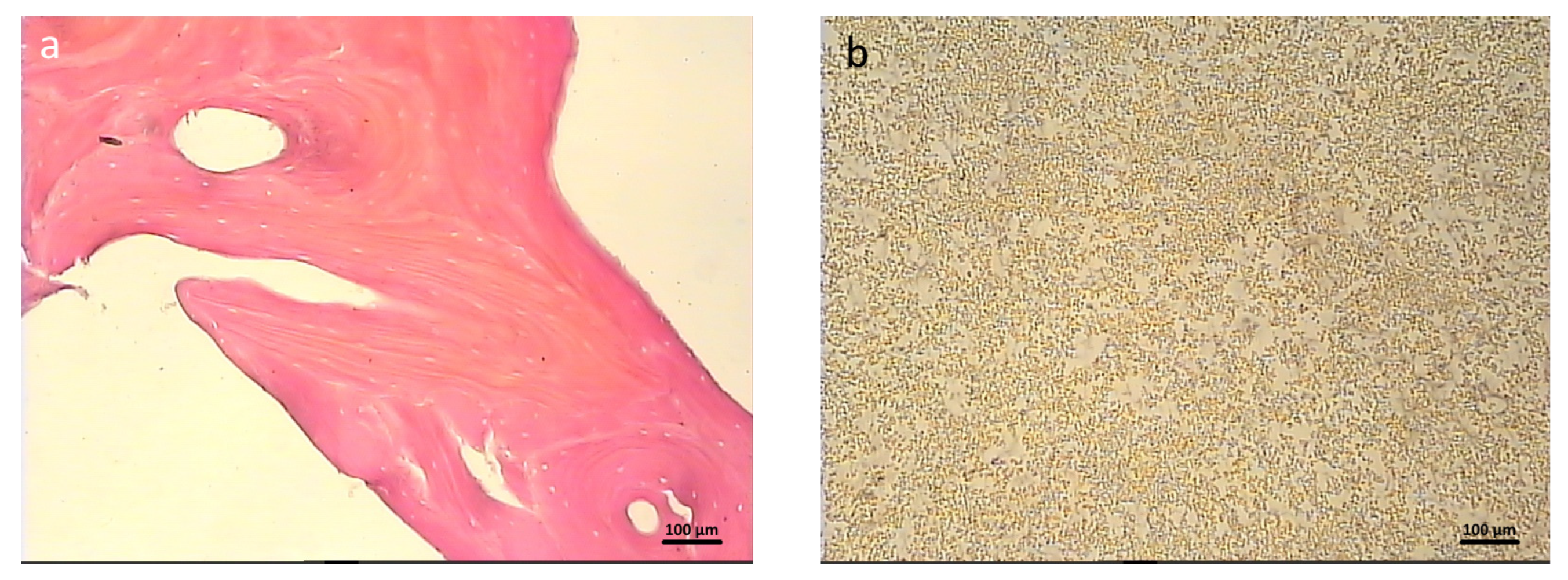 Polymers 16 01165 g009