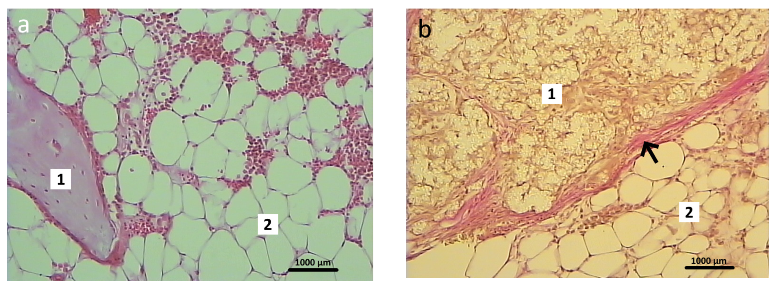 Polymers 16 01165 g010