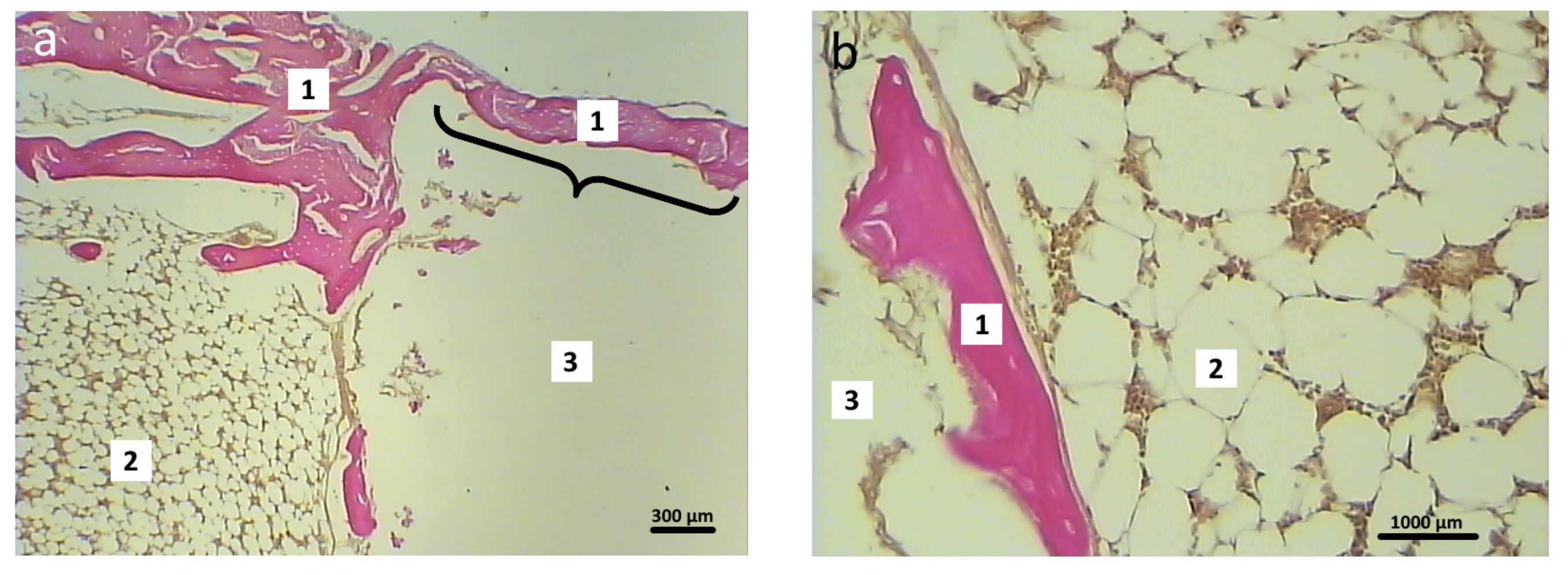 Polymers 16 01165 g014