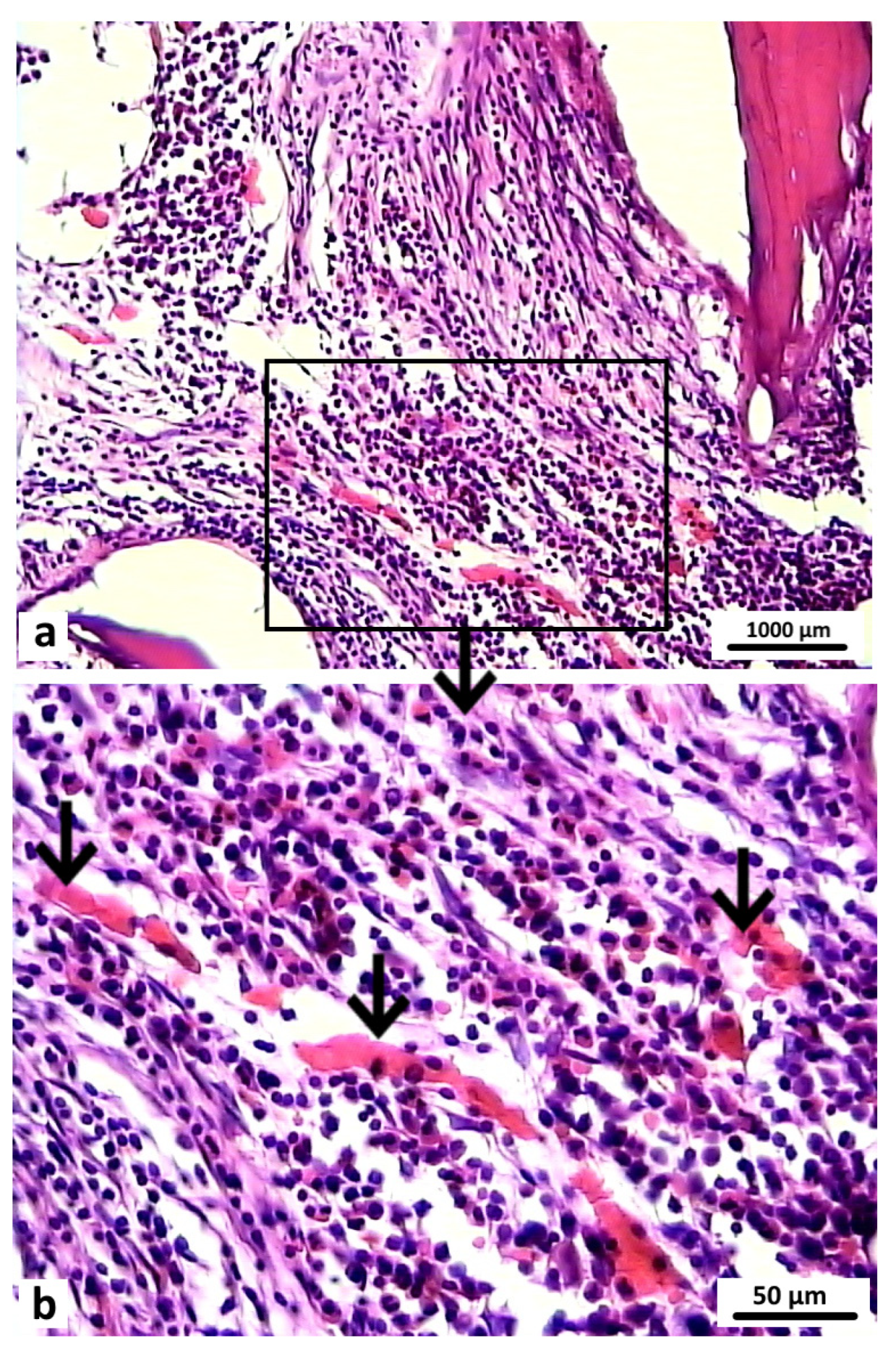 Polymers 16 01165 g015