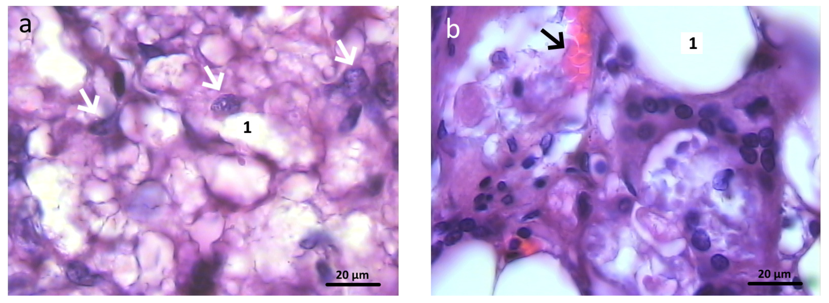 Polymers 16 01165 g016