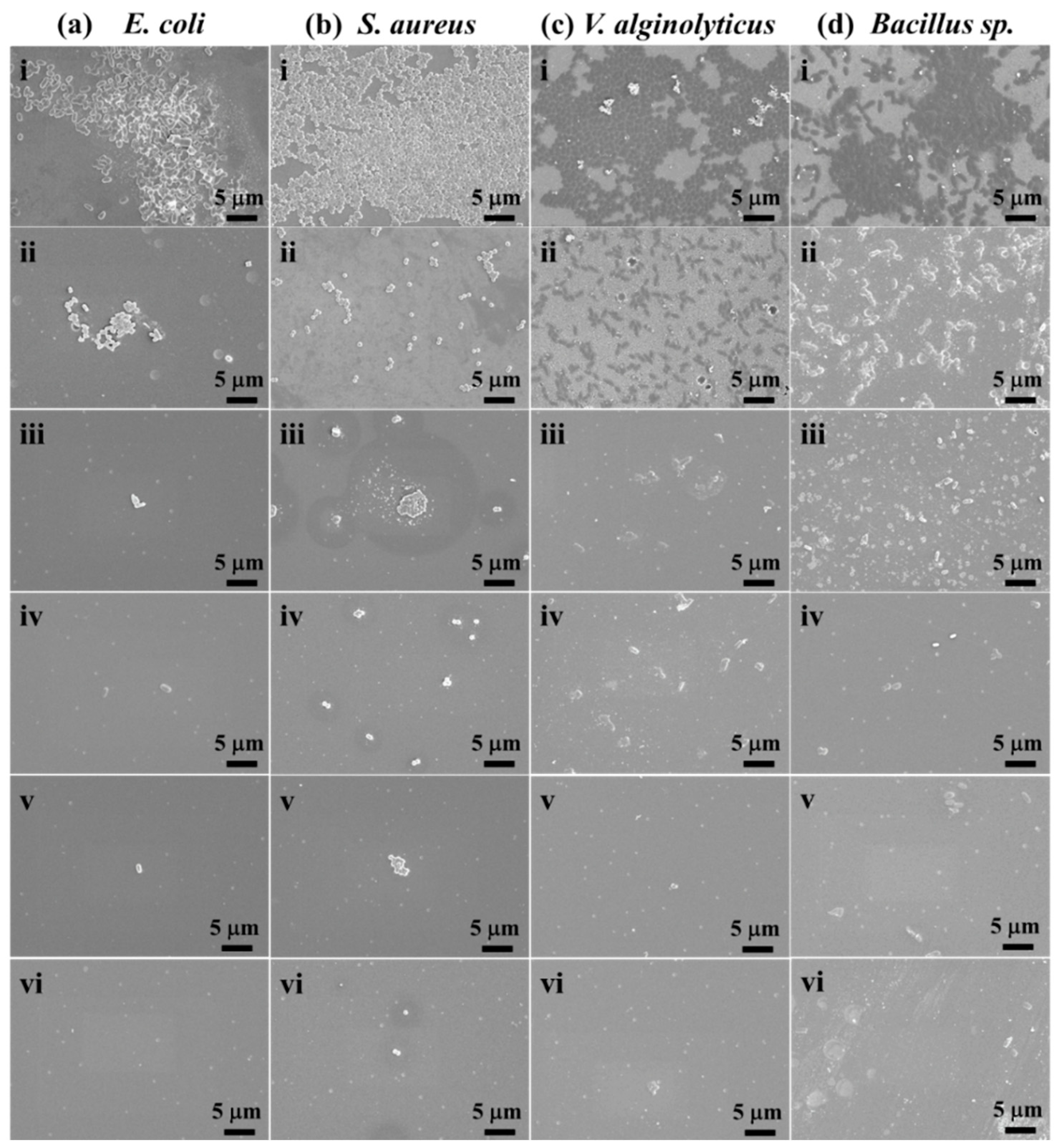 Polymers 16 01167 g009