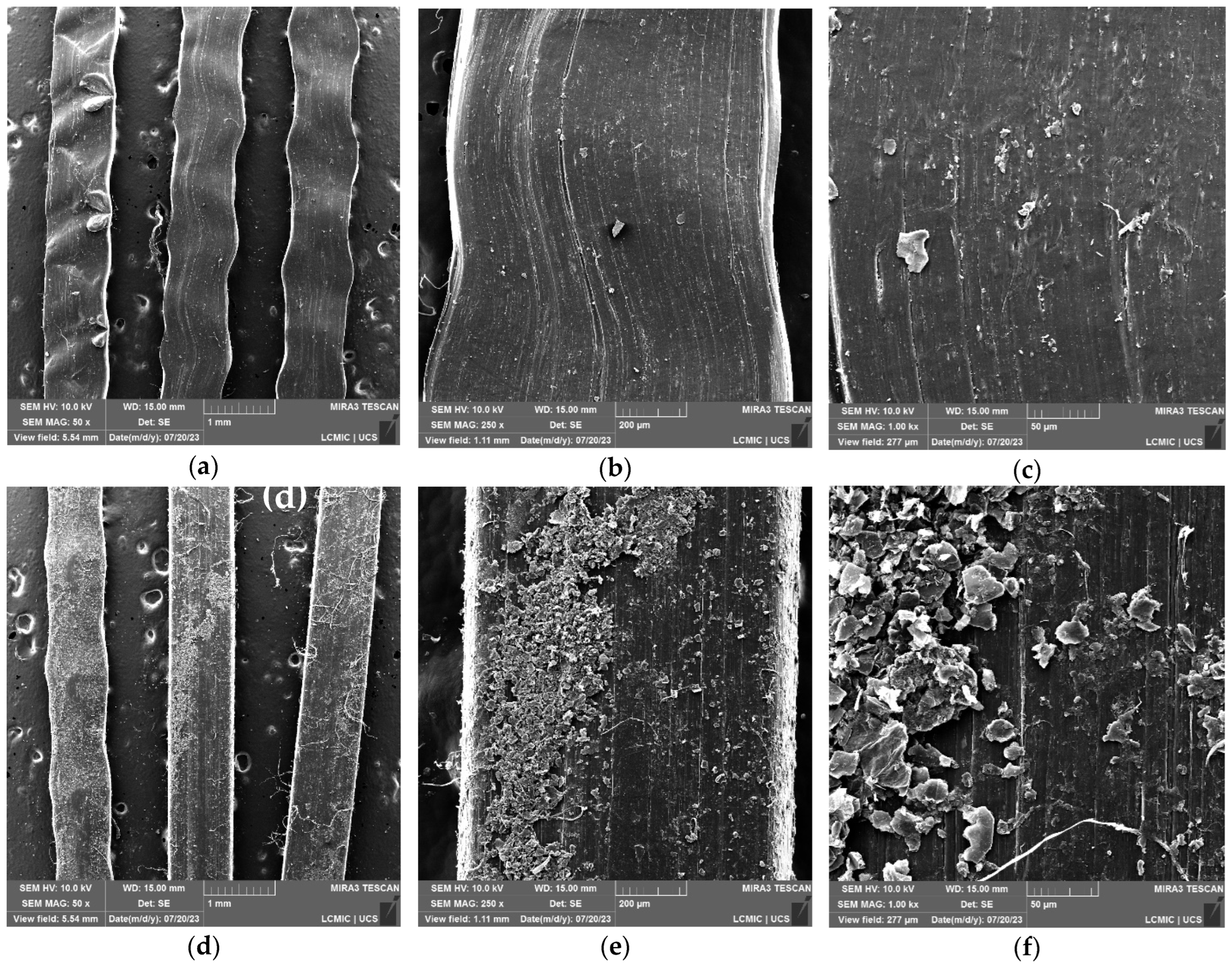 Polymers 16 01168 g001