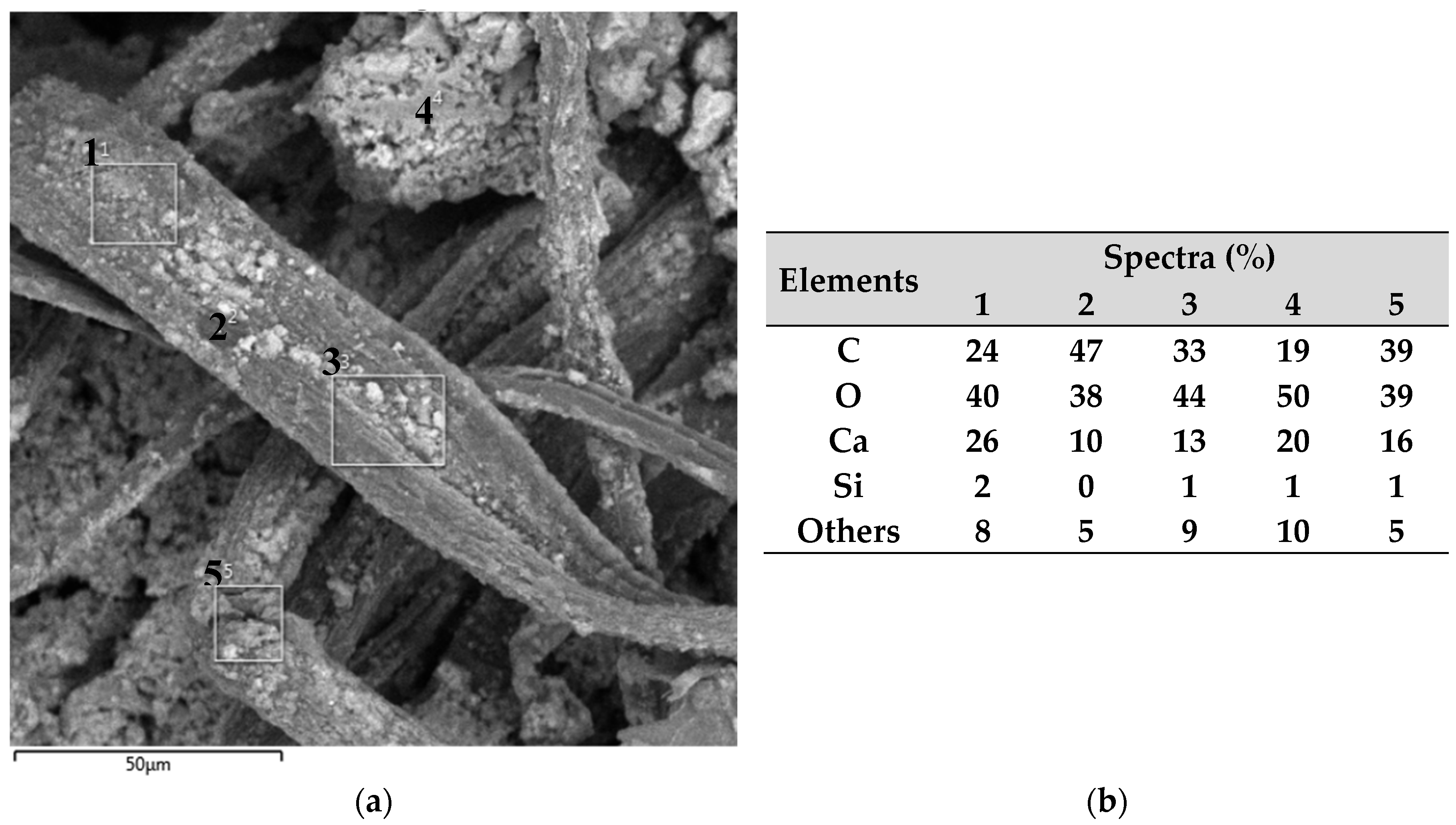 Polymers 16 01168 g006a