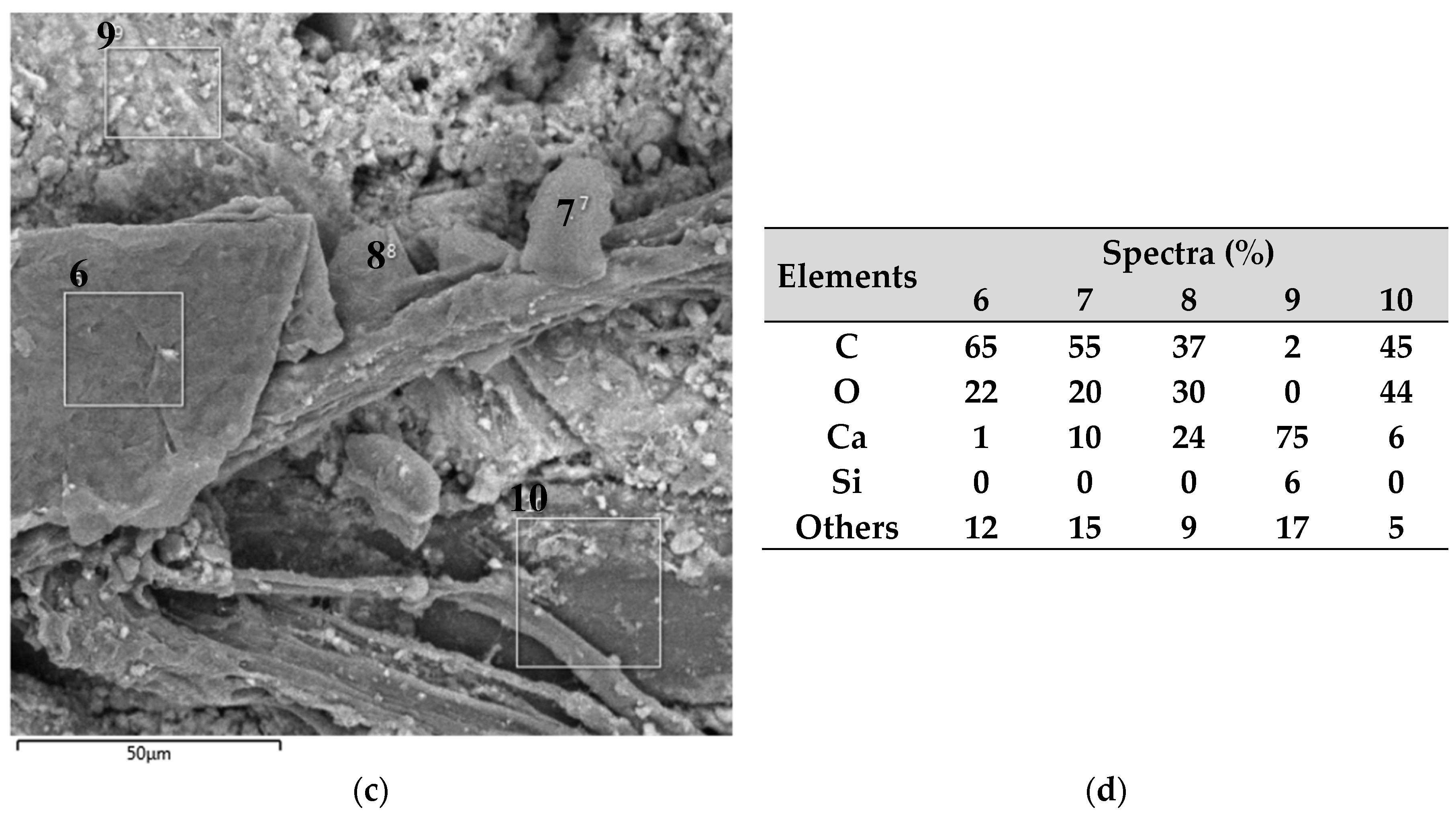 Polymers 16 01168 g006b