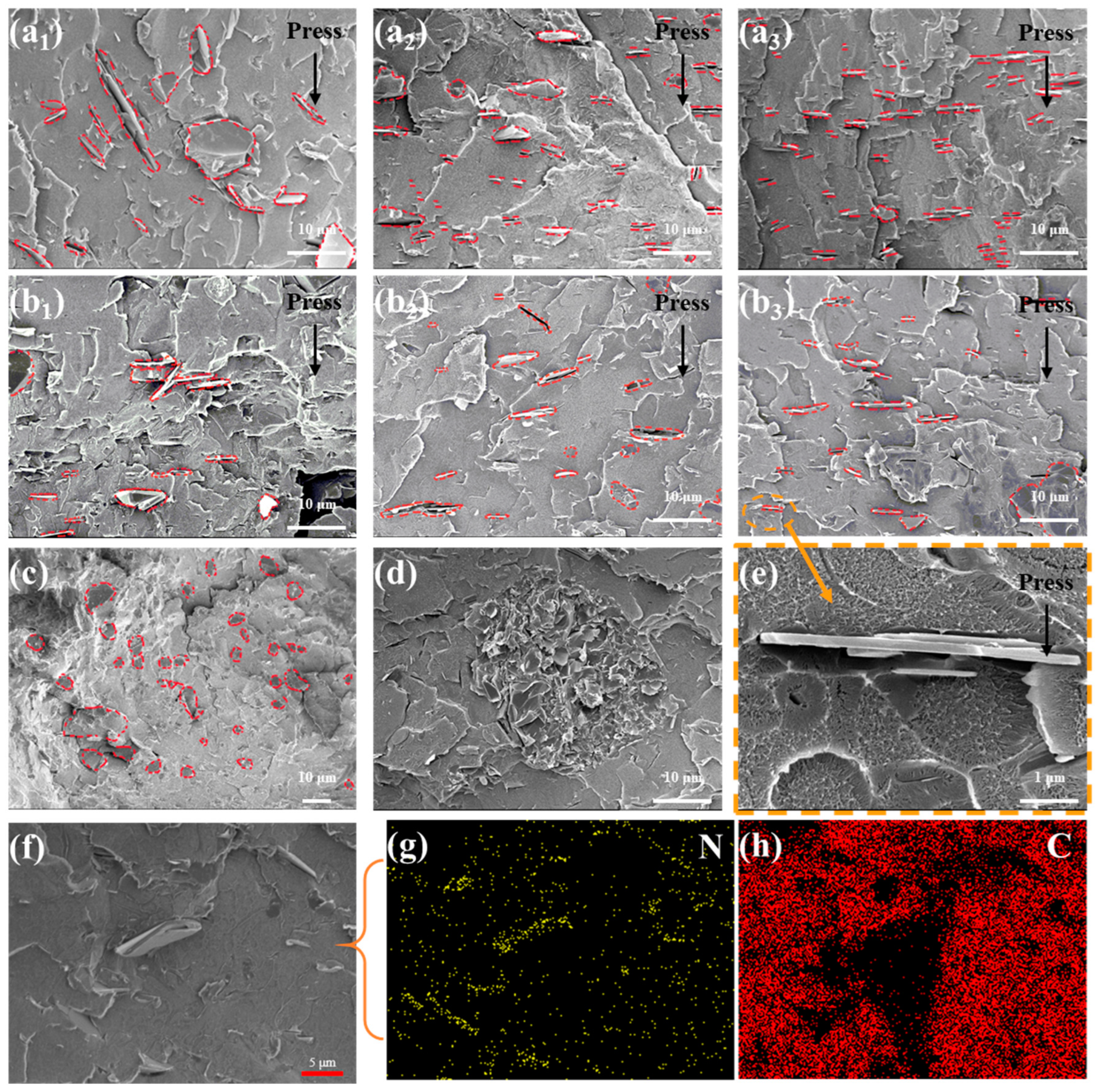 Polymers 16 01169 g003