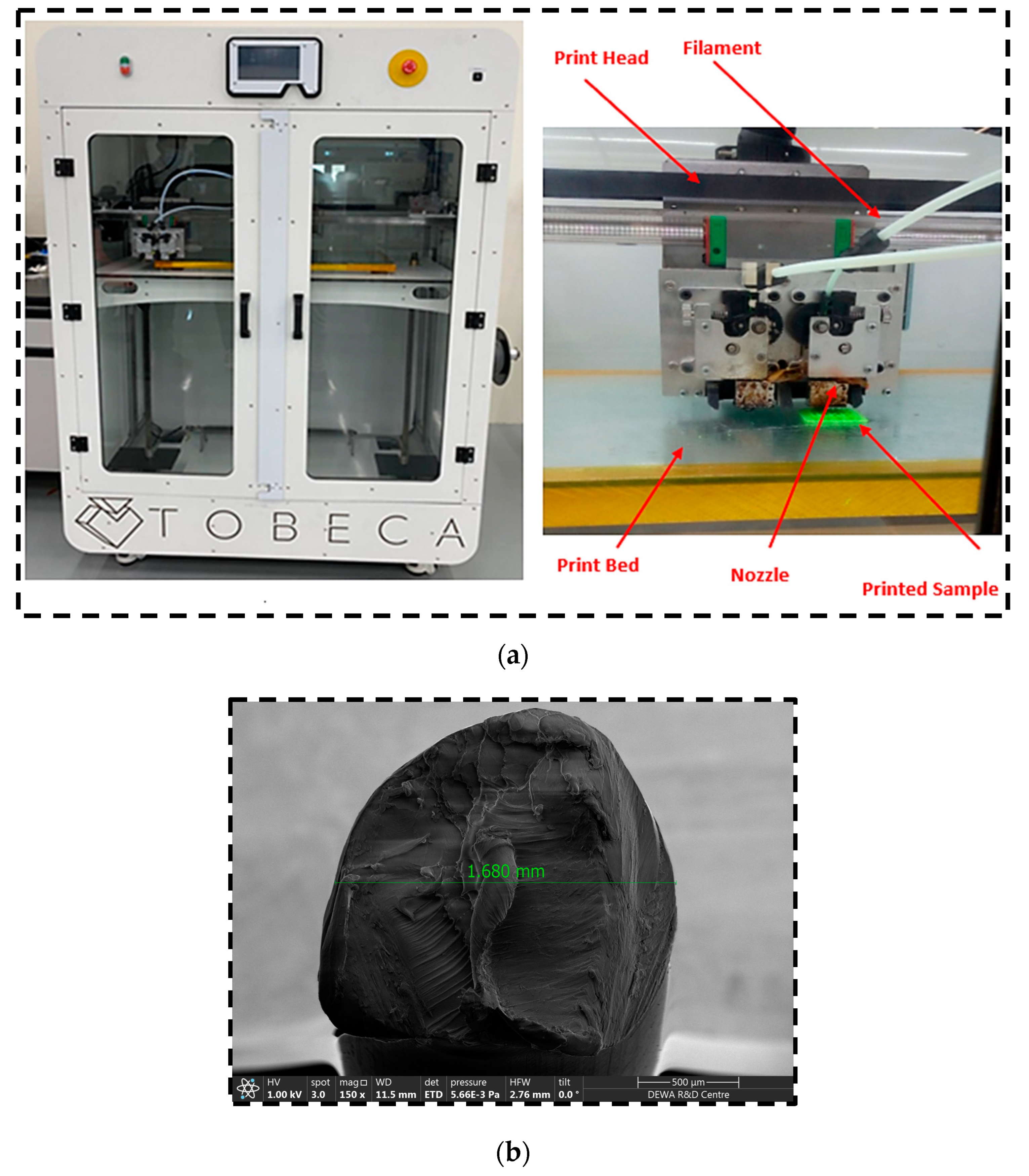 Polymers 16 01175 g004