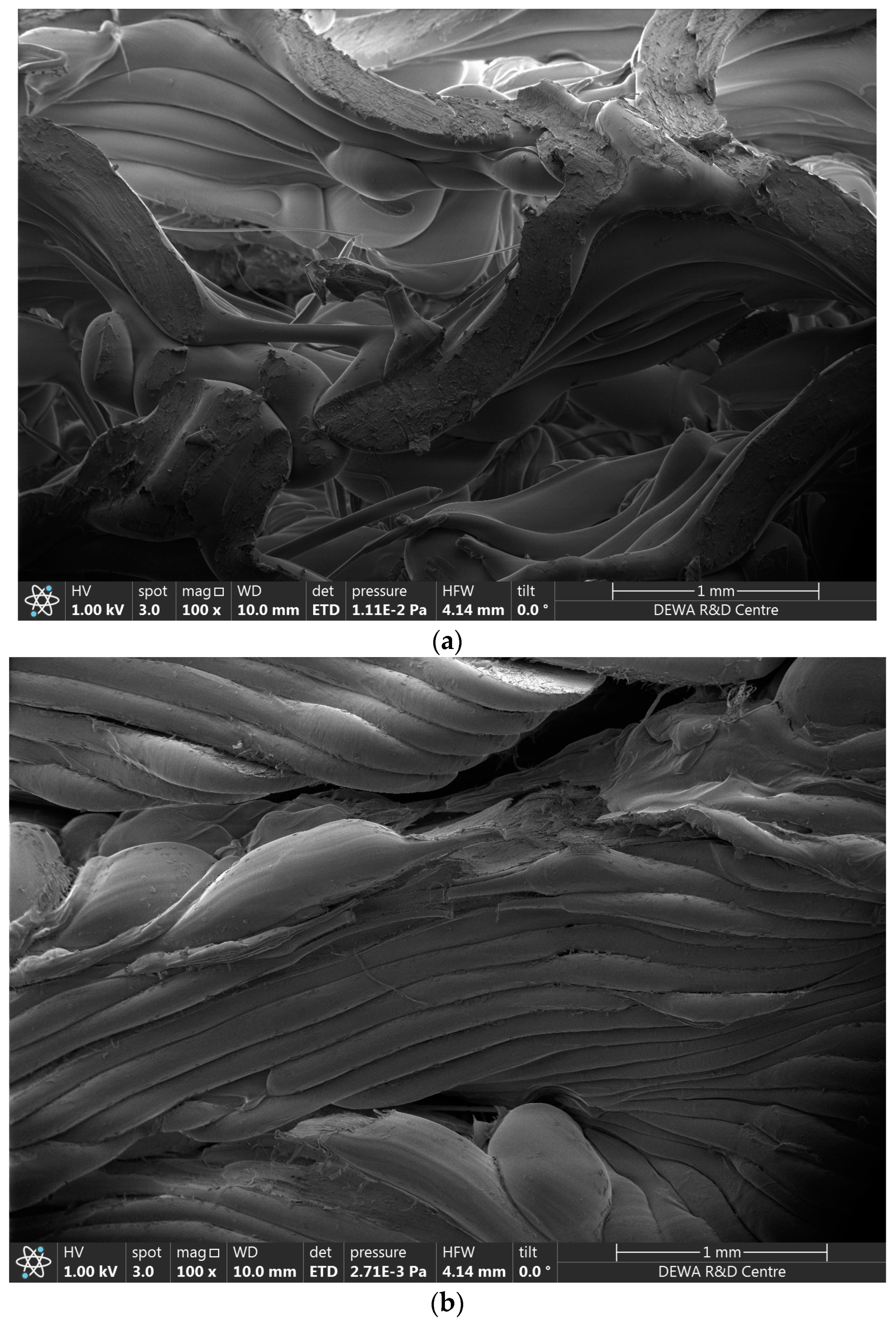 Polymers 16 01175 g009