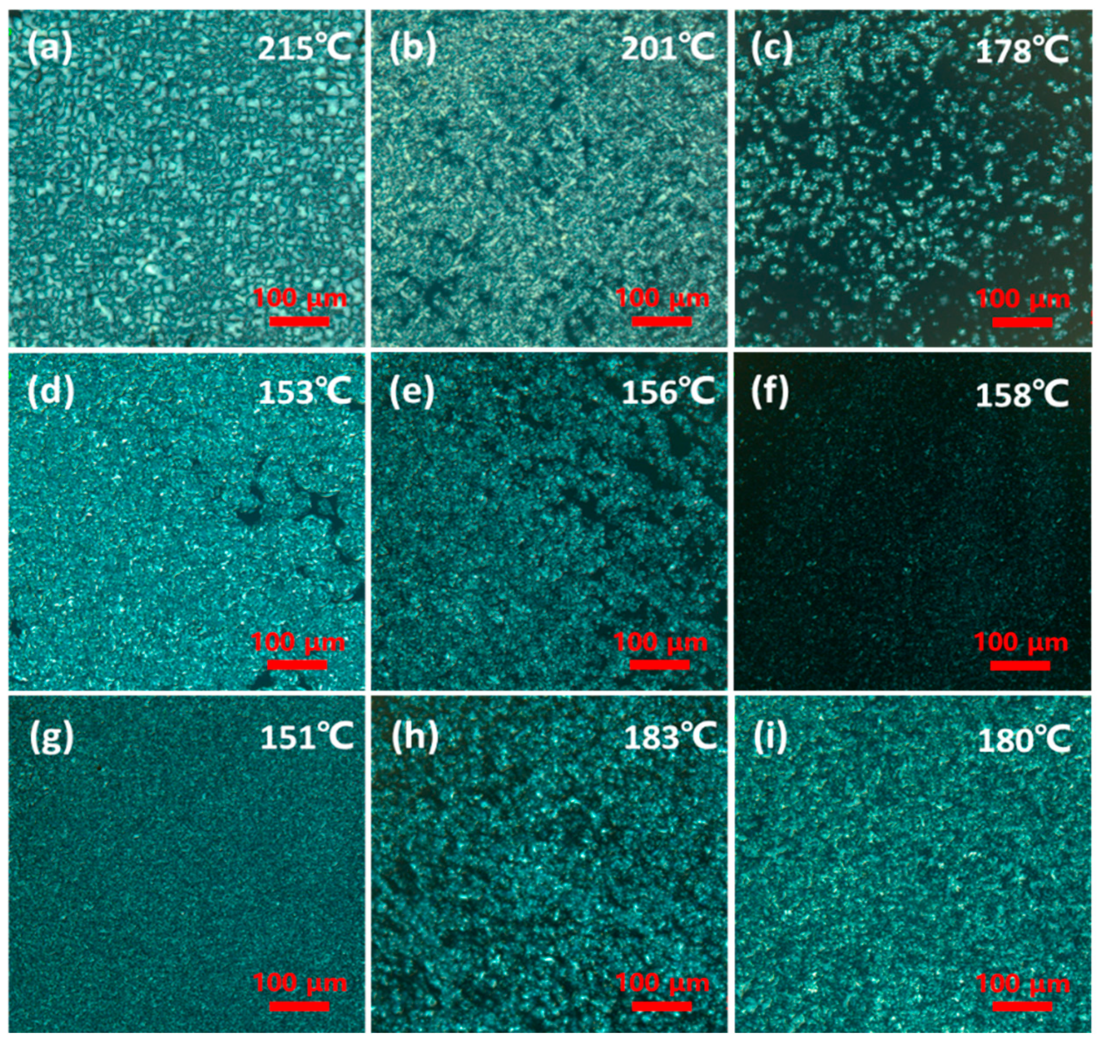 Polymers 16 01176 g011