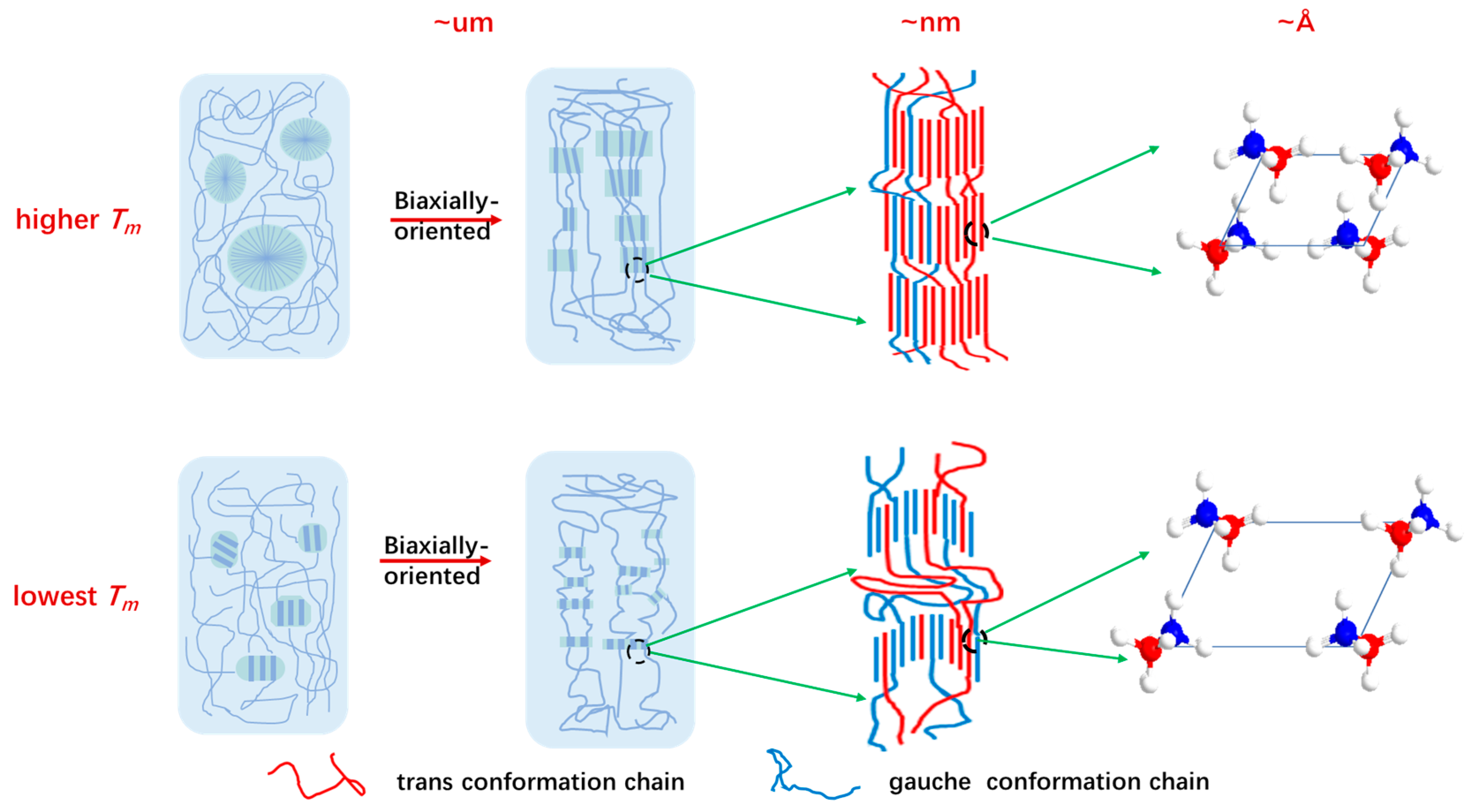 Polymers 16 01176 g012