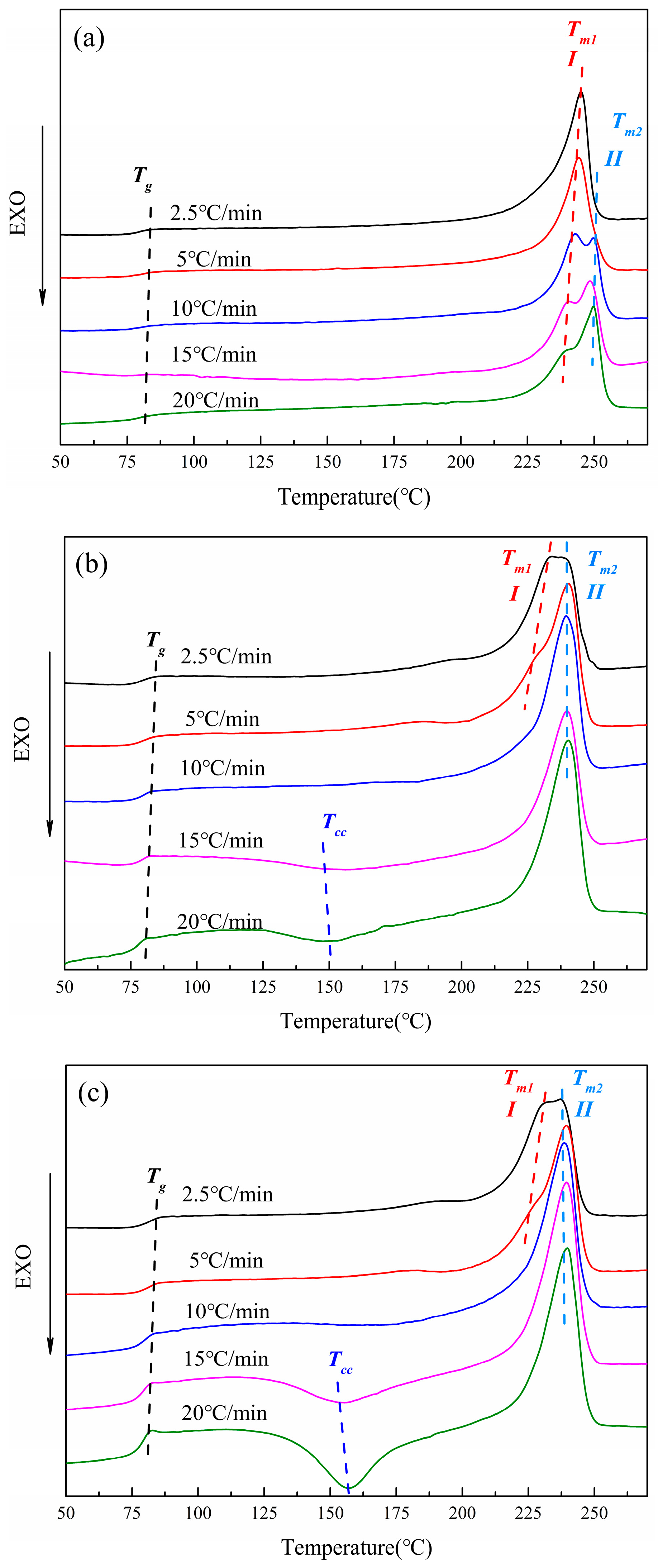 Polymers 16 01177 g006