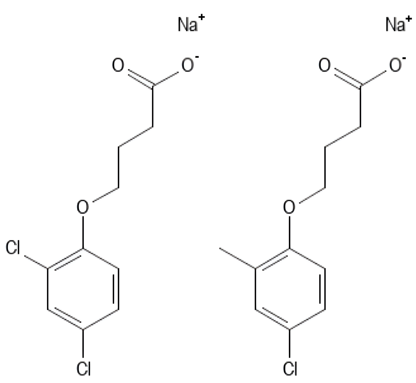 Polymers 16 01182 g021