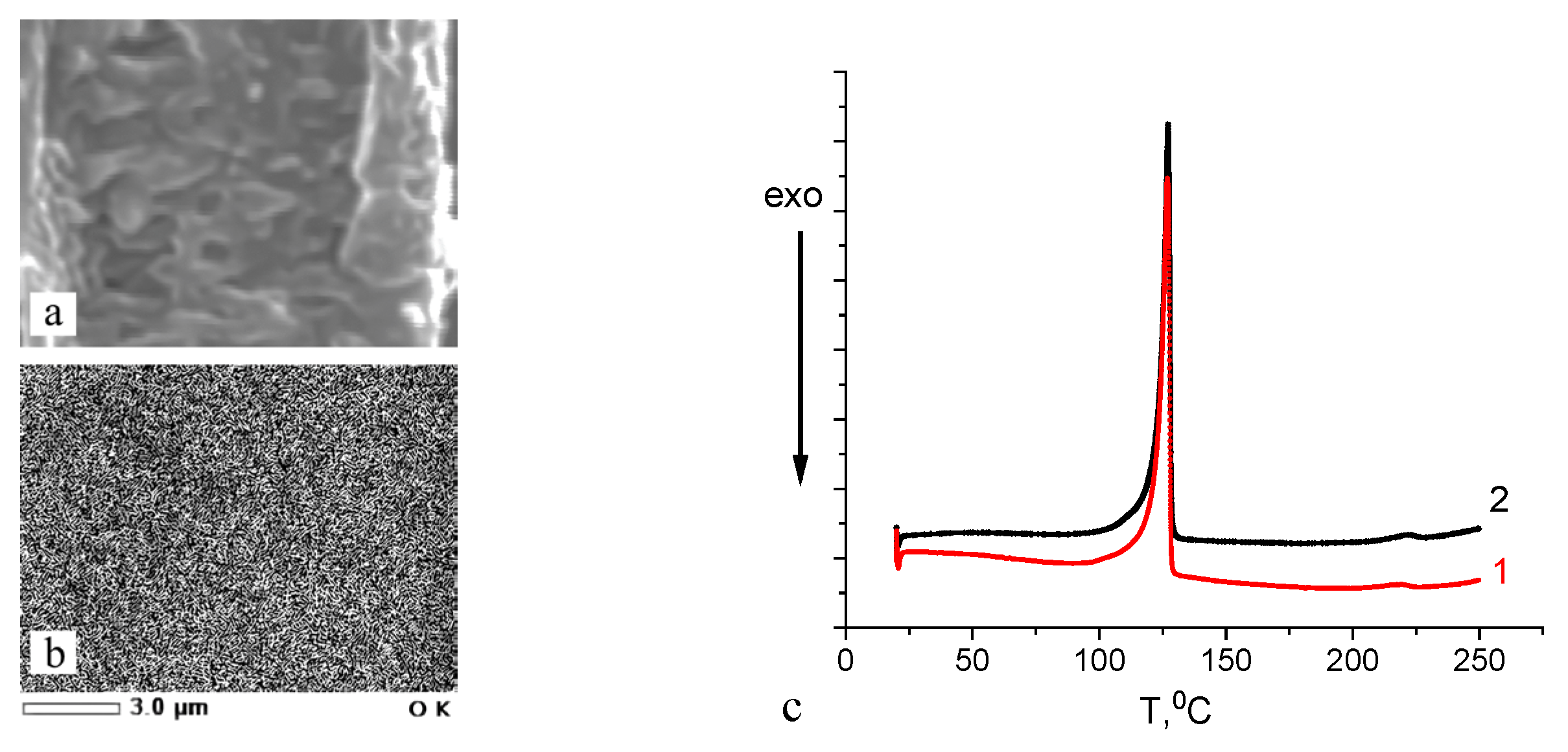 Polymers 16 01184 g005