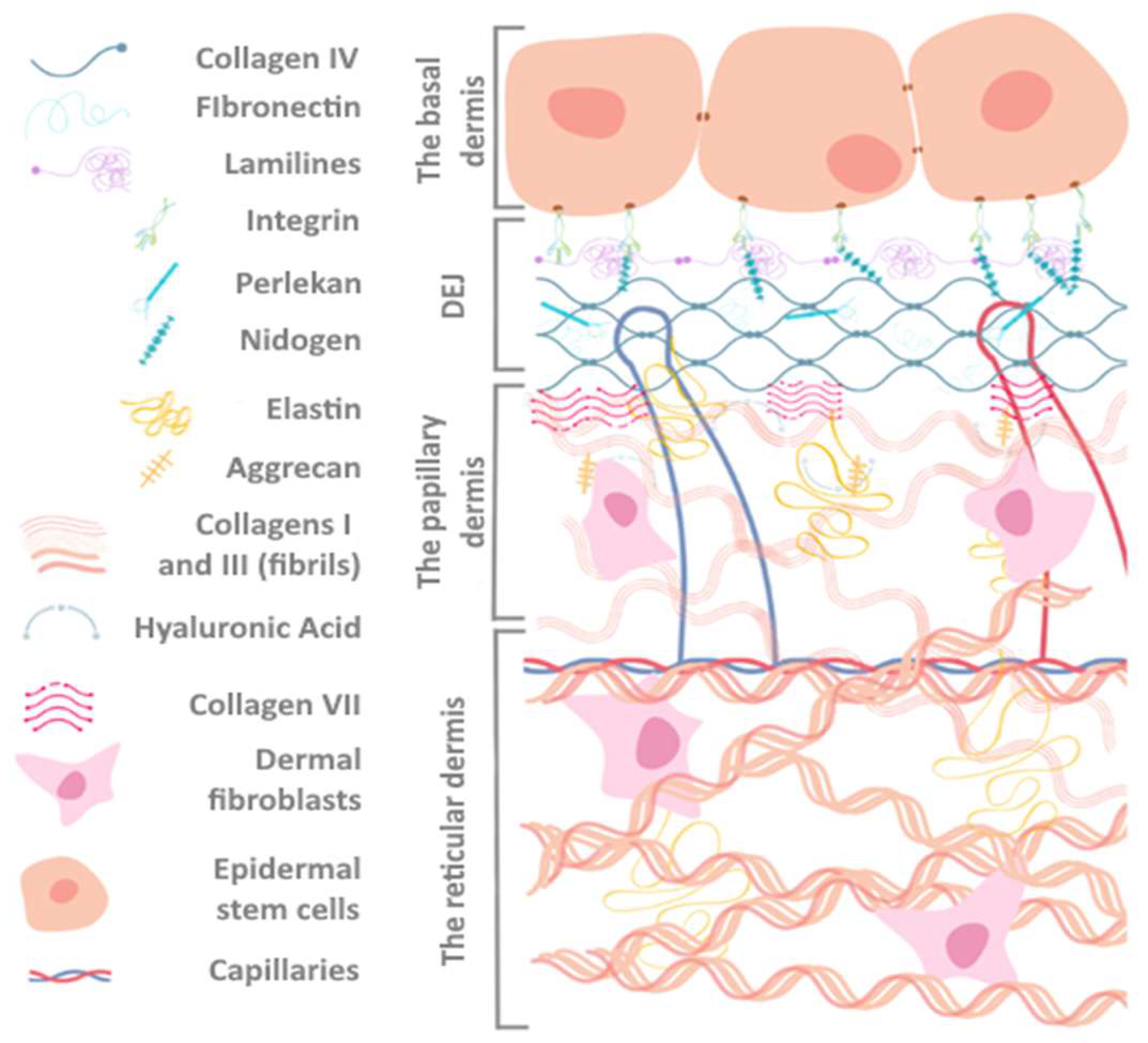 Polymers 16 01187 g001