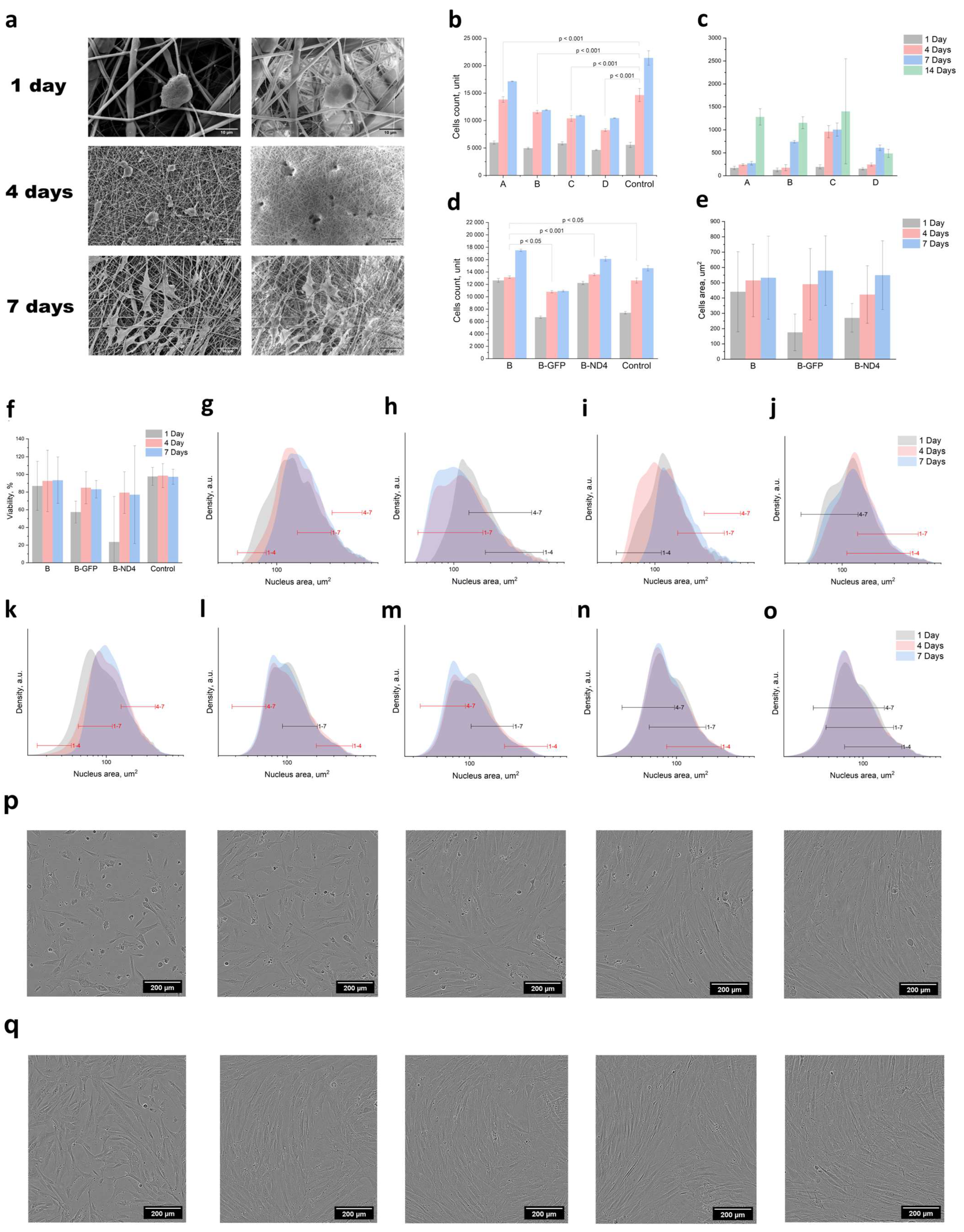 Polymers 16 01187 g003